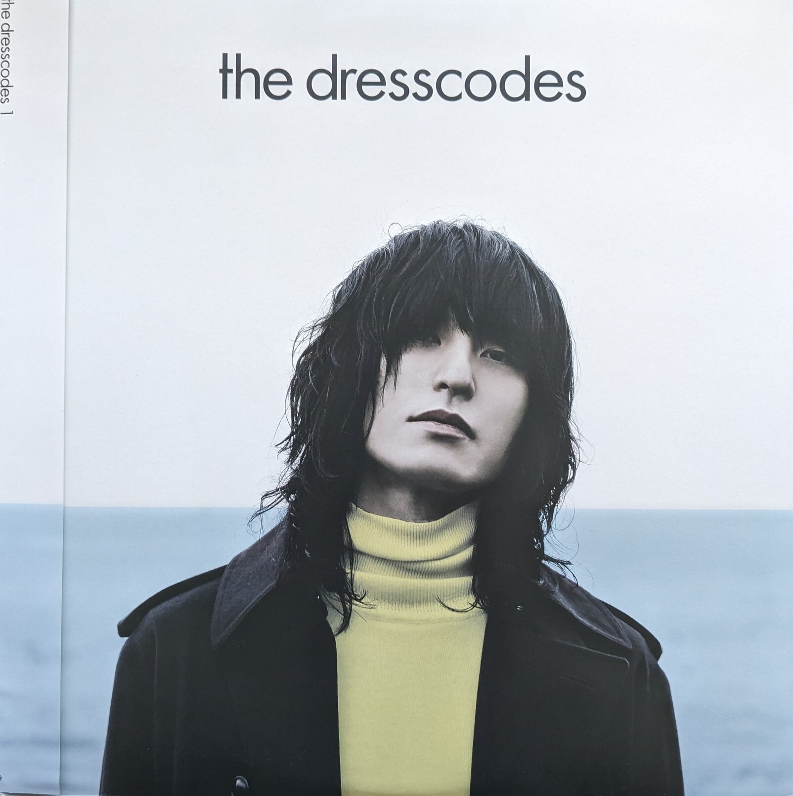 ドレスコーズ「the dresscodes」：LPレコード | 音とこだま