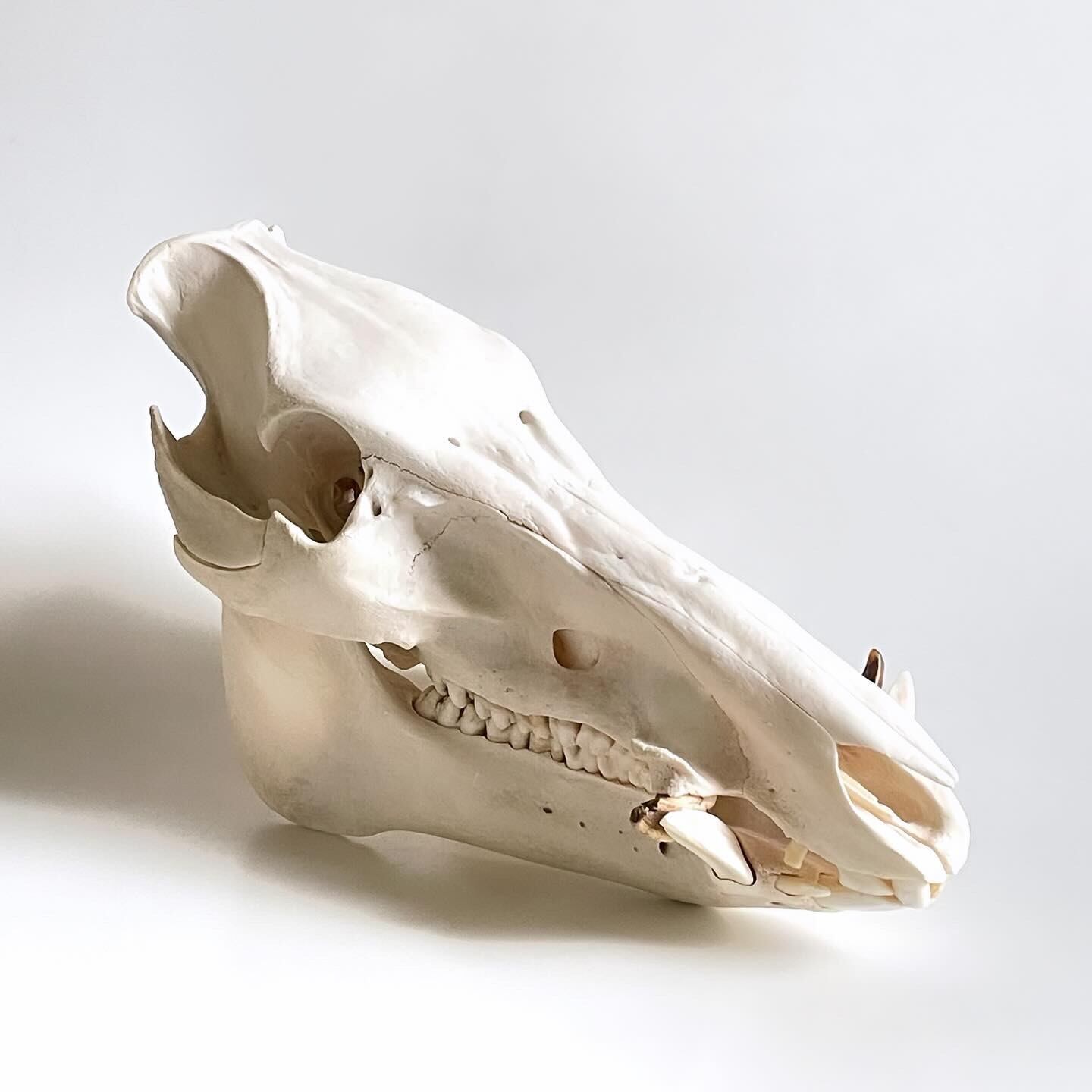 8916b2977a7cd258d2ff2b28611f09