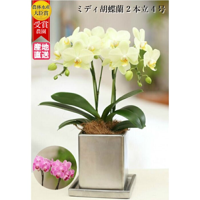 89fda526064d04a7250db448f7132f