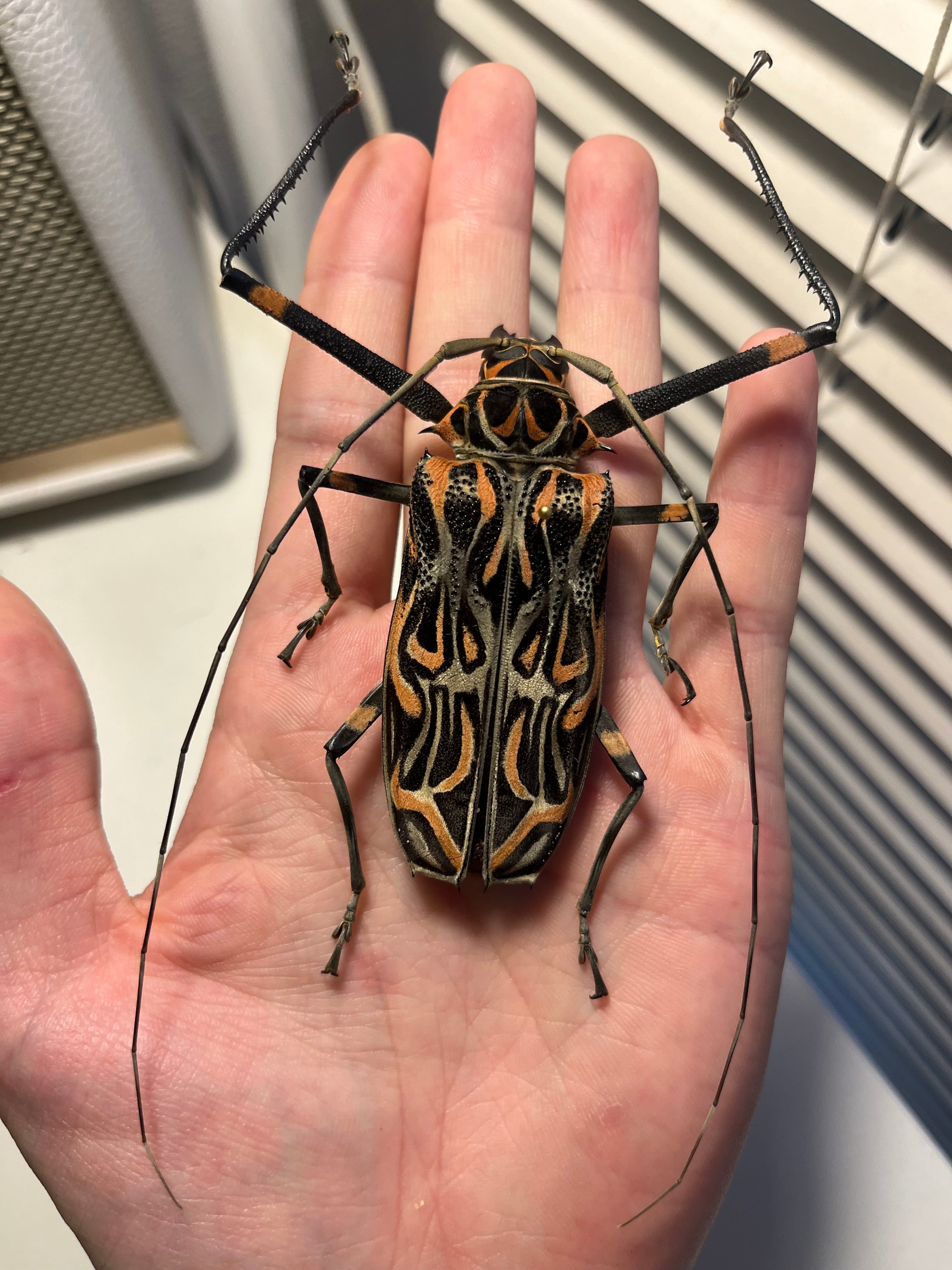 8a2c2bc3d294b9ed810c7a284a862d