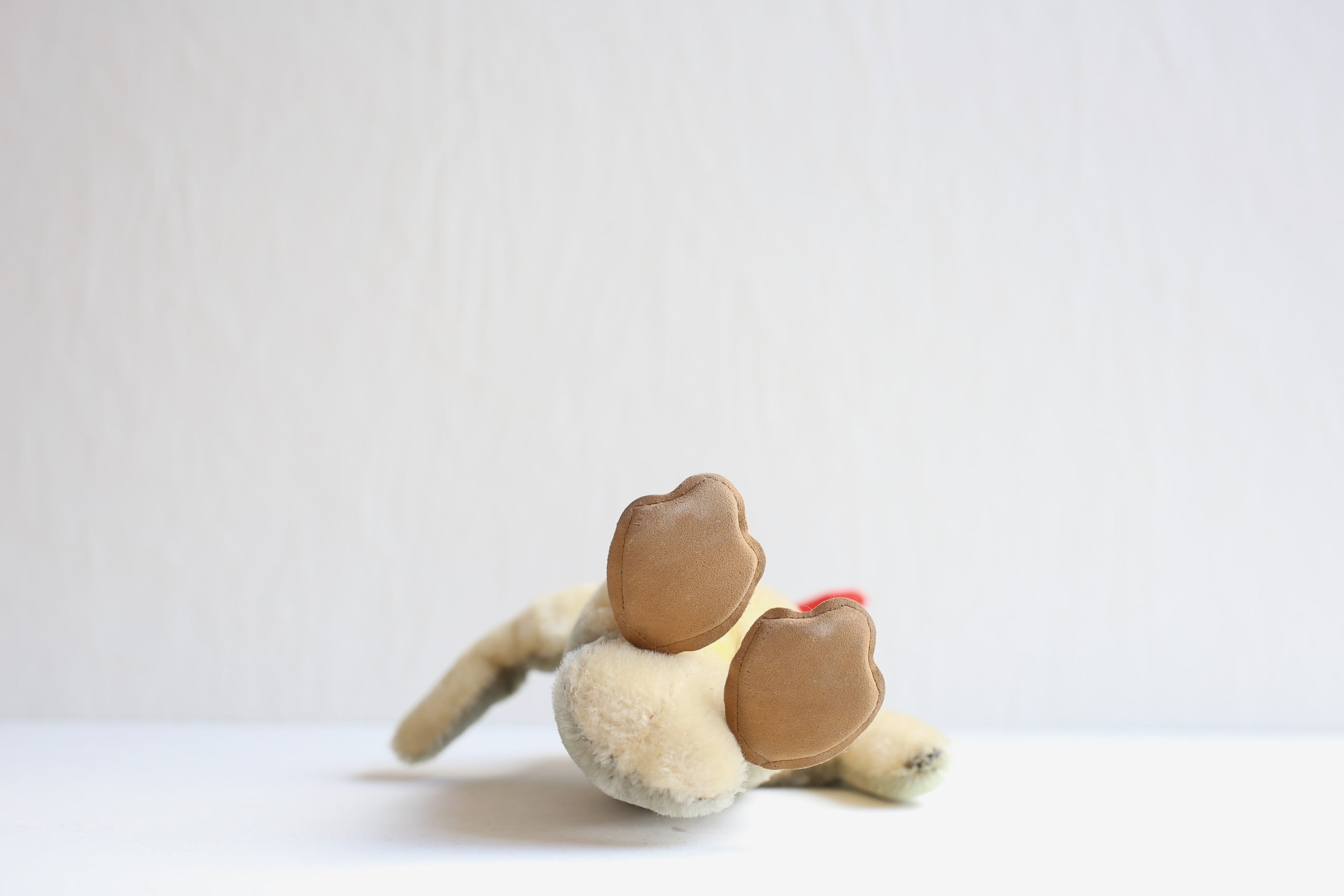 ドイツ ヴィンテージ Steiff シュタイフ ペンギン『Peggy』カタログ