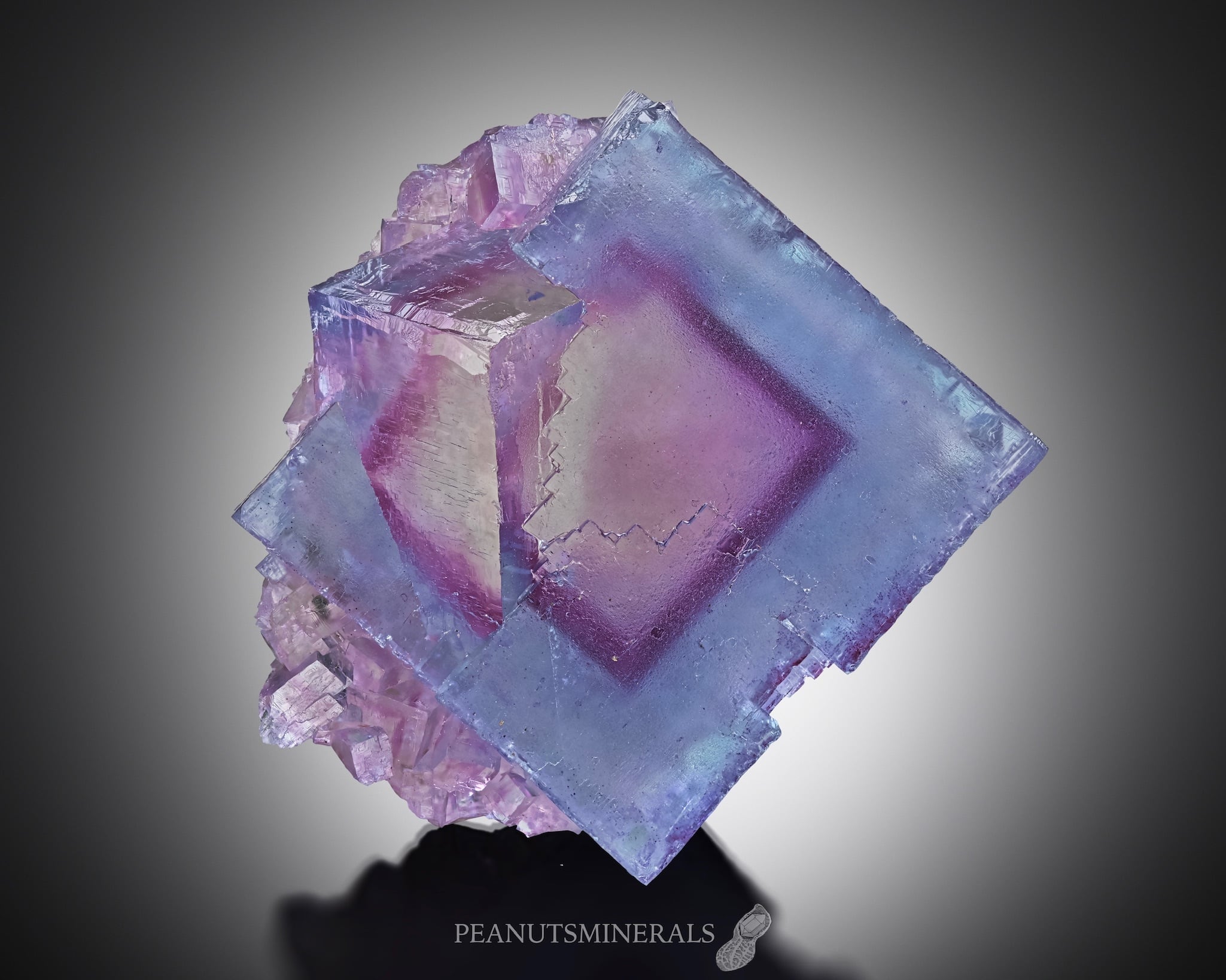 フローライト【Fluorite】アメリカ産 | PEANUTS MINERALS