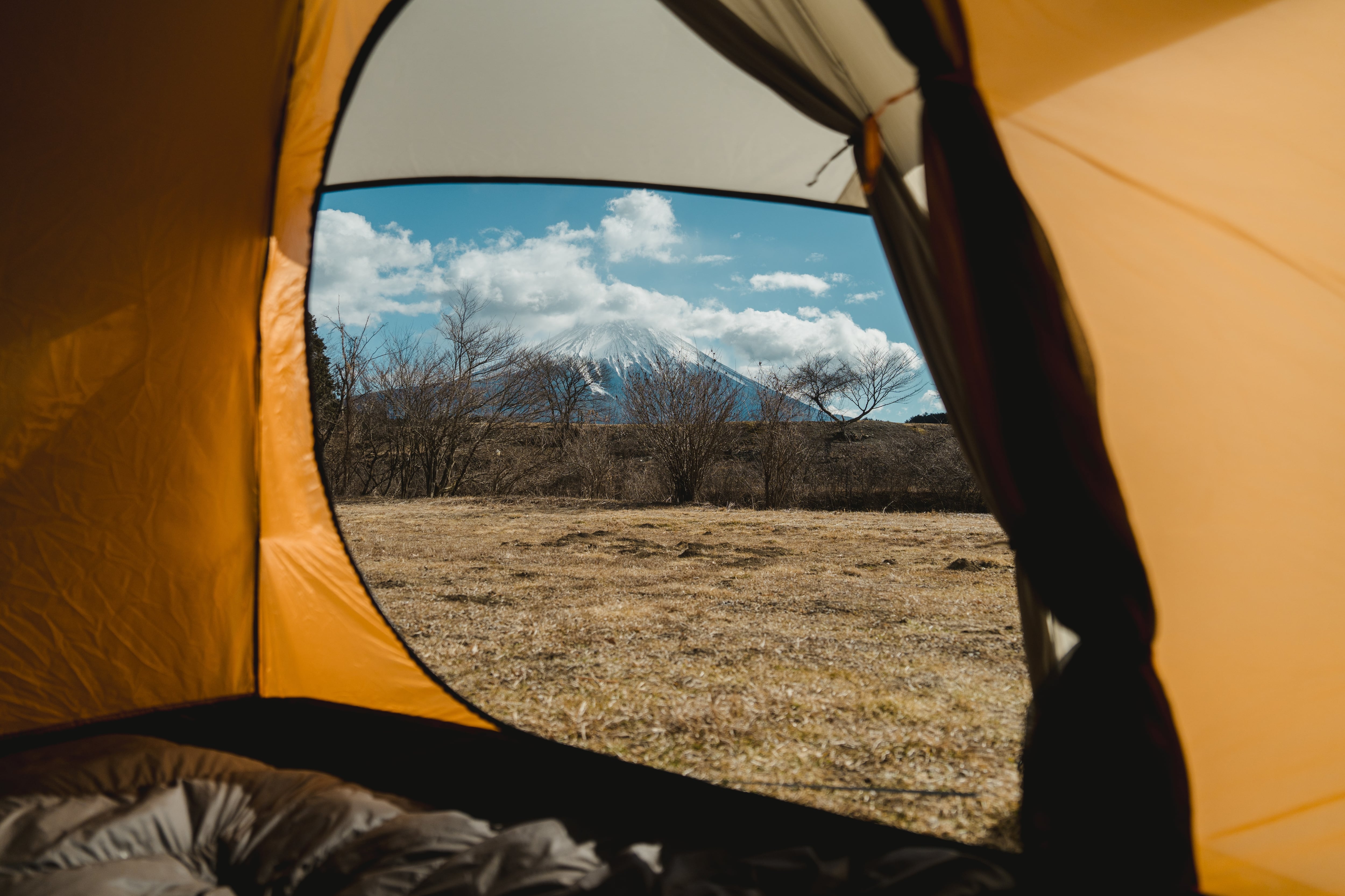 Black Dragon Starry Moon 星月 | Black Dragon Japan