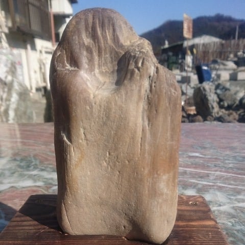 珪化木(木化石) 庭石 鑑賞石 原石 置物 オブジェ インテリア 化石