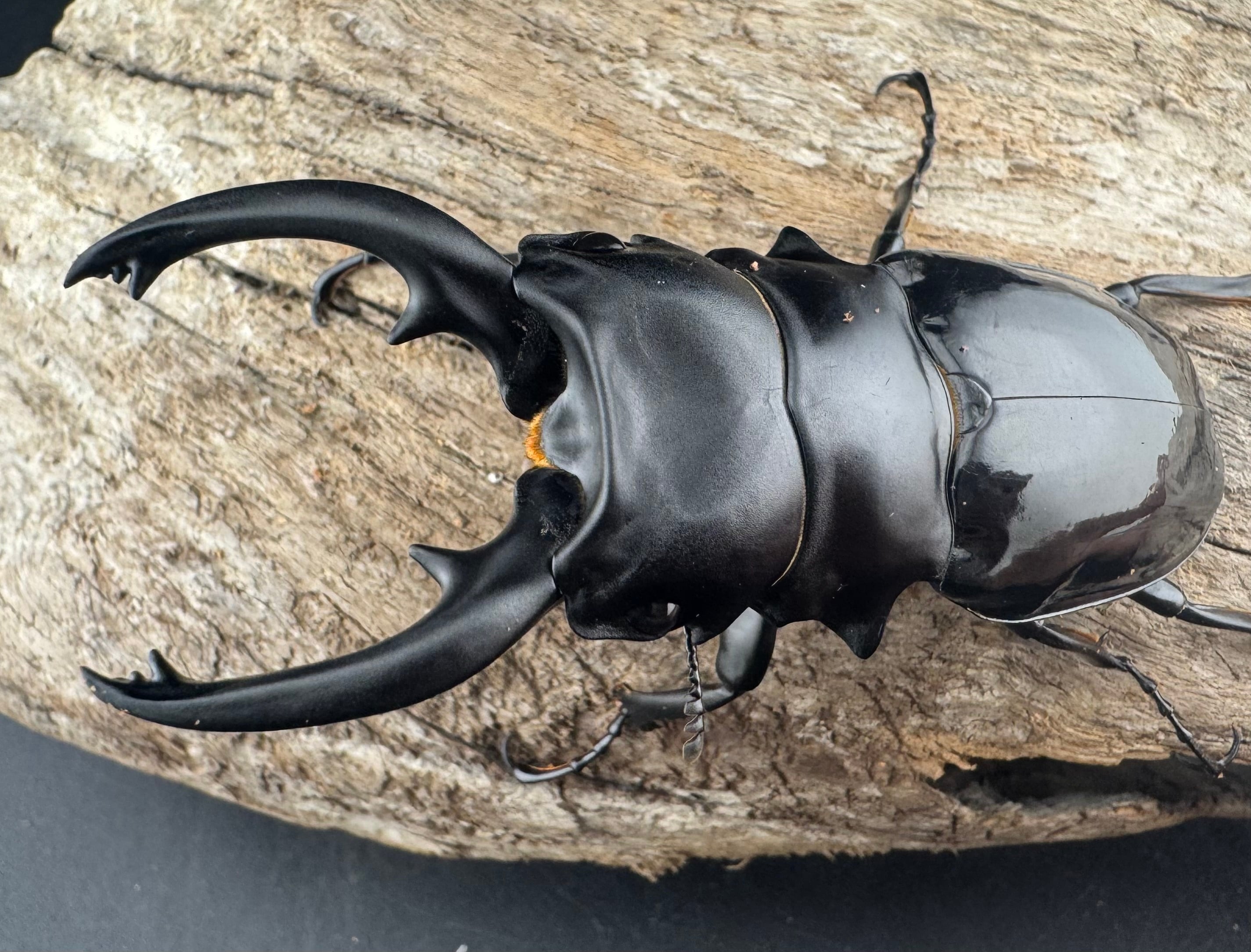 8d740b060289c77ee3ba21ce8b6dc2