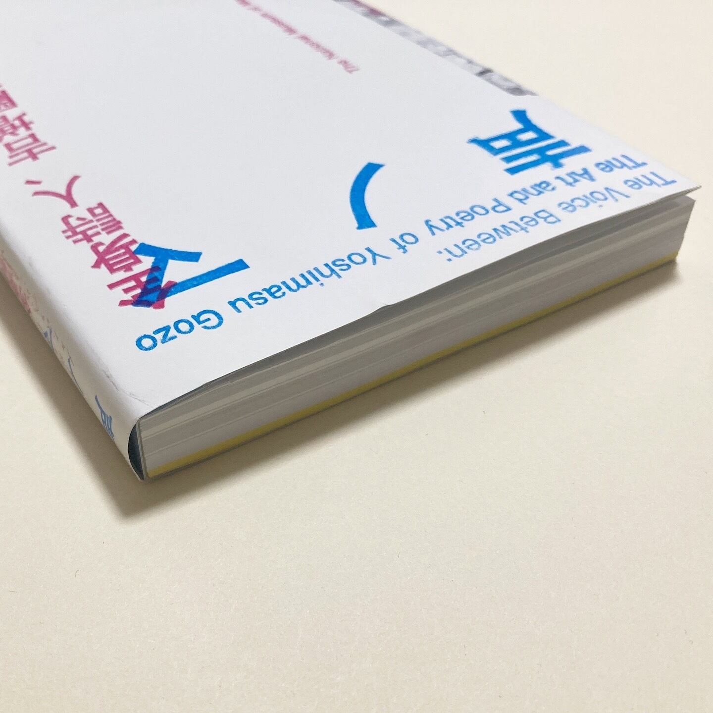 声ノマ 全身詩人、吉増剛造展 | Pay ID