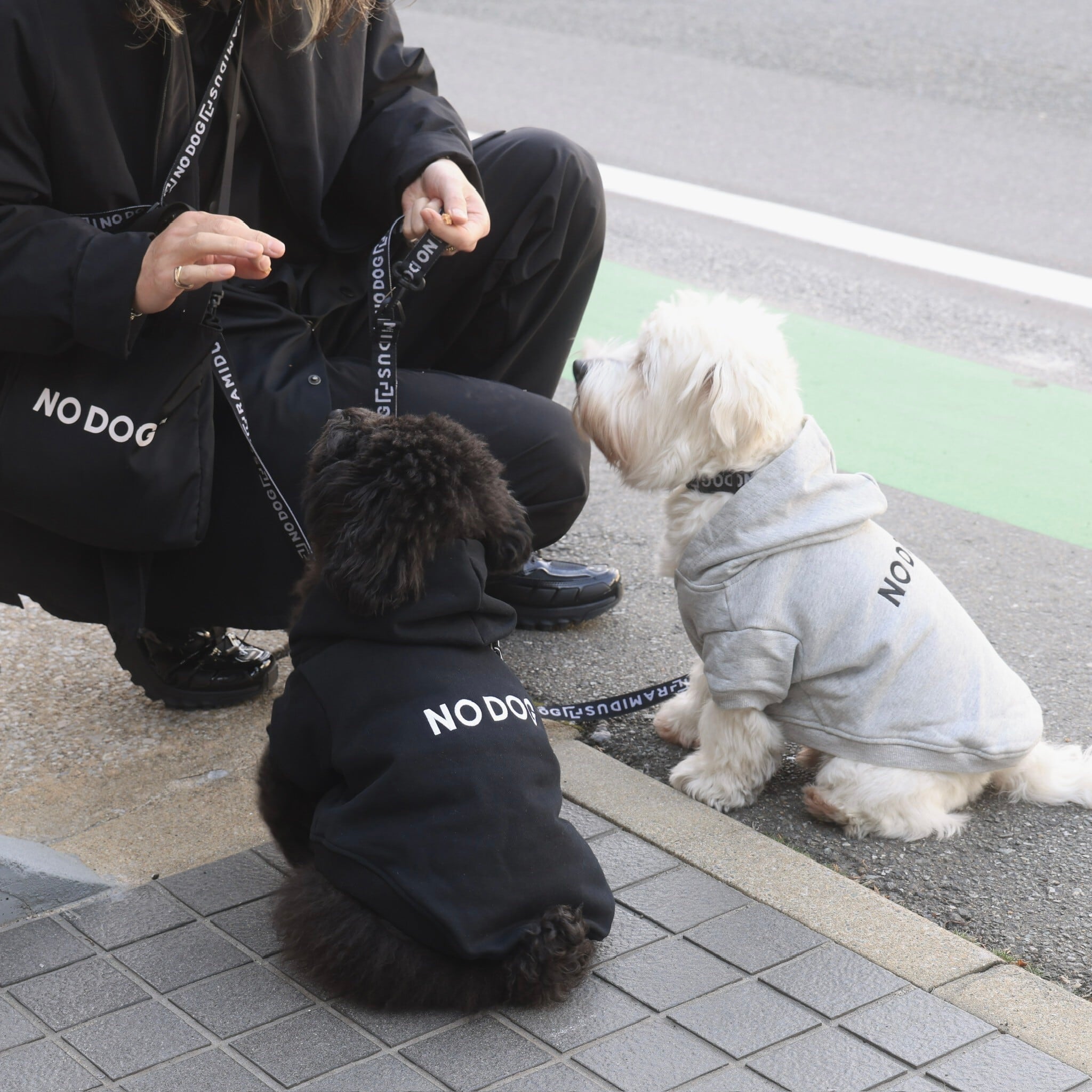 NO DOG 犬服 パーカー | NO COFFEE