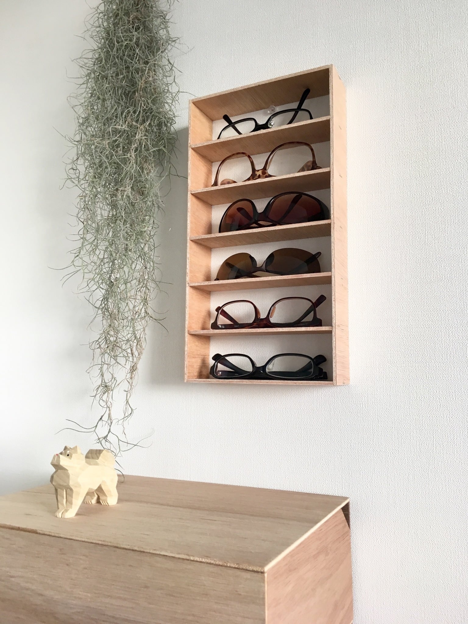 メガネケース 6本 木製棚 壁掛け 収納 | Susolab