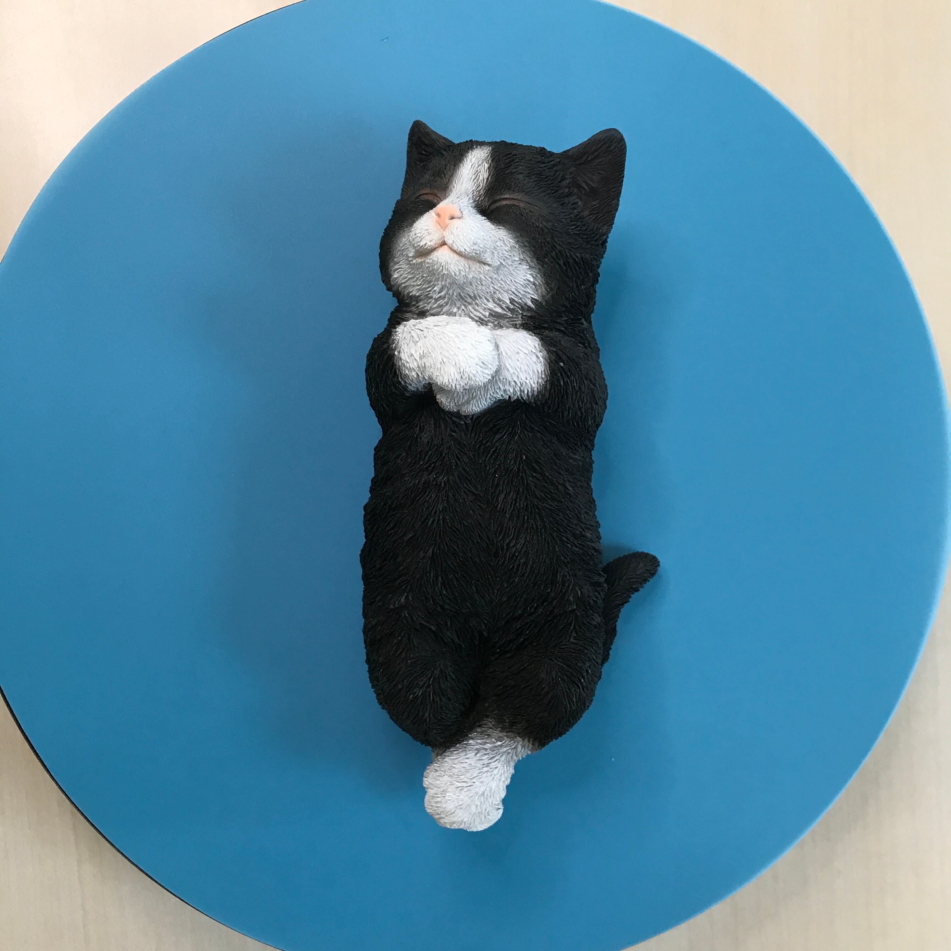 H20515-3 へそ天ハチワレ黒白猫 | marimba_woobia