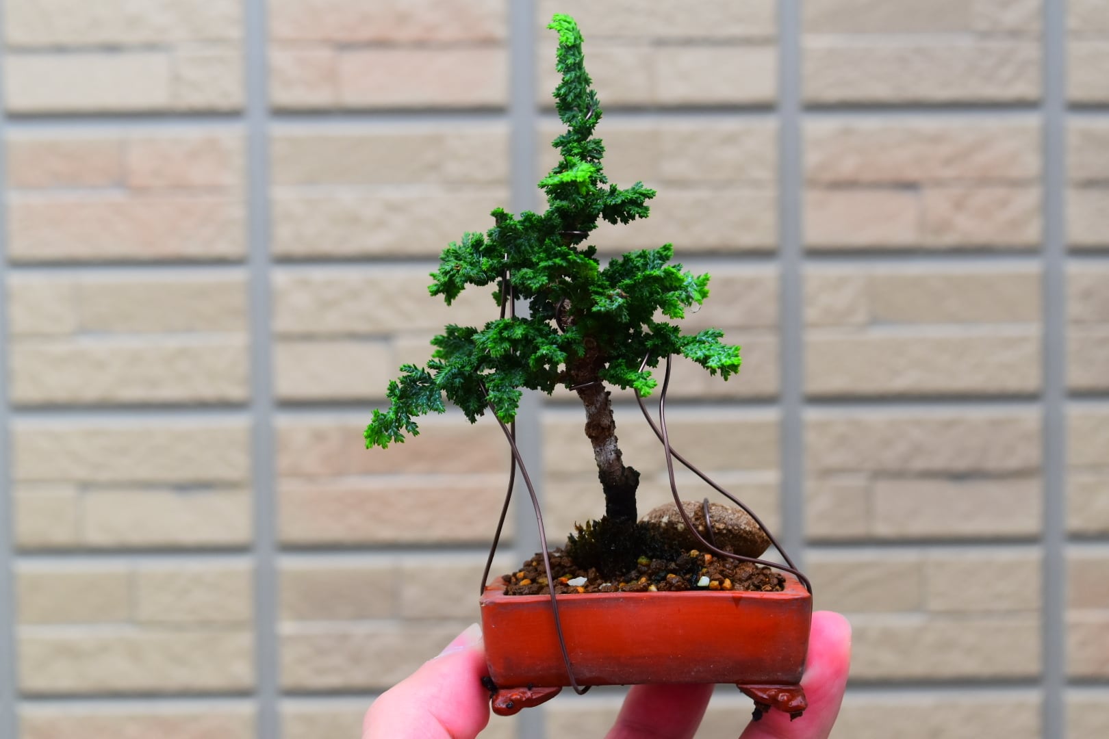 90220b6522885fa8c7e3c630cfb64b