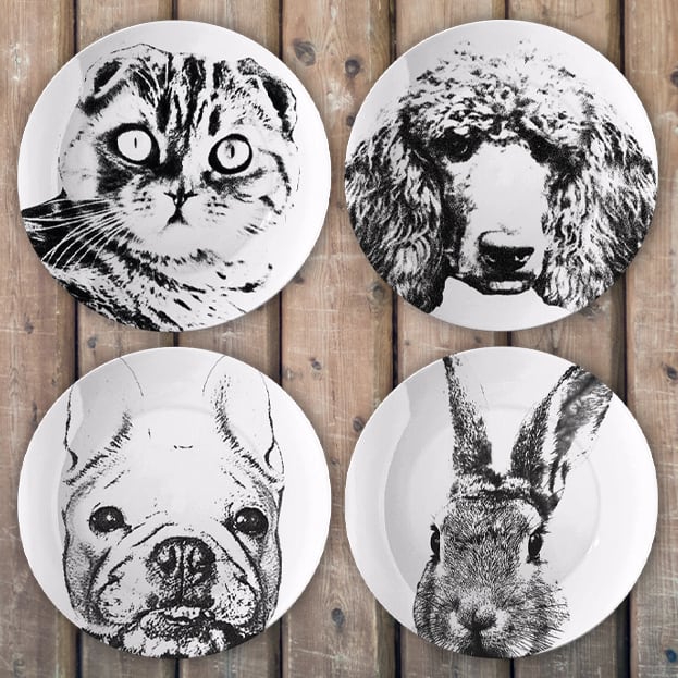 9042a948a22b82e2c0f9f0bd86a7e8