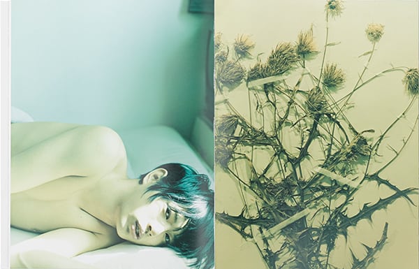 細倉真弓（MAYUMI HOSOKURA）KAZAN | G/P+abp