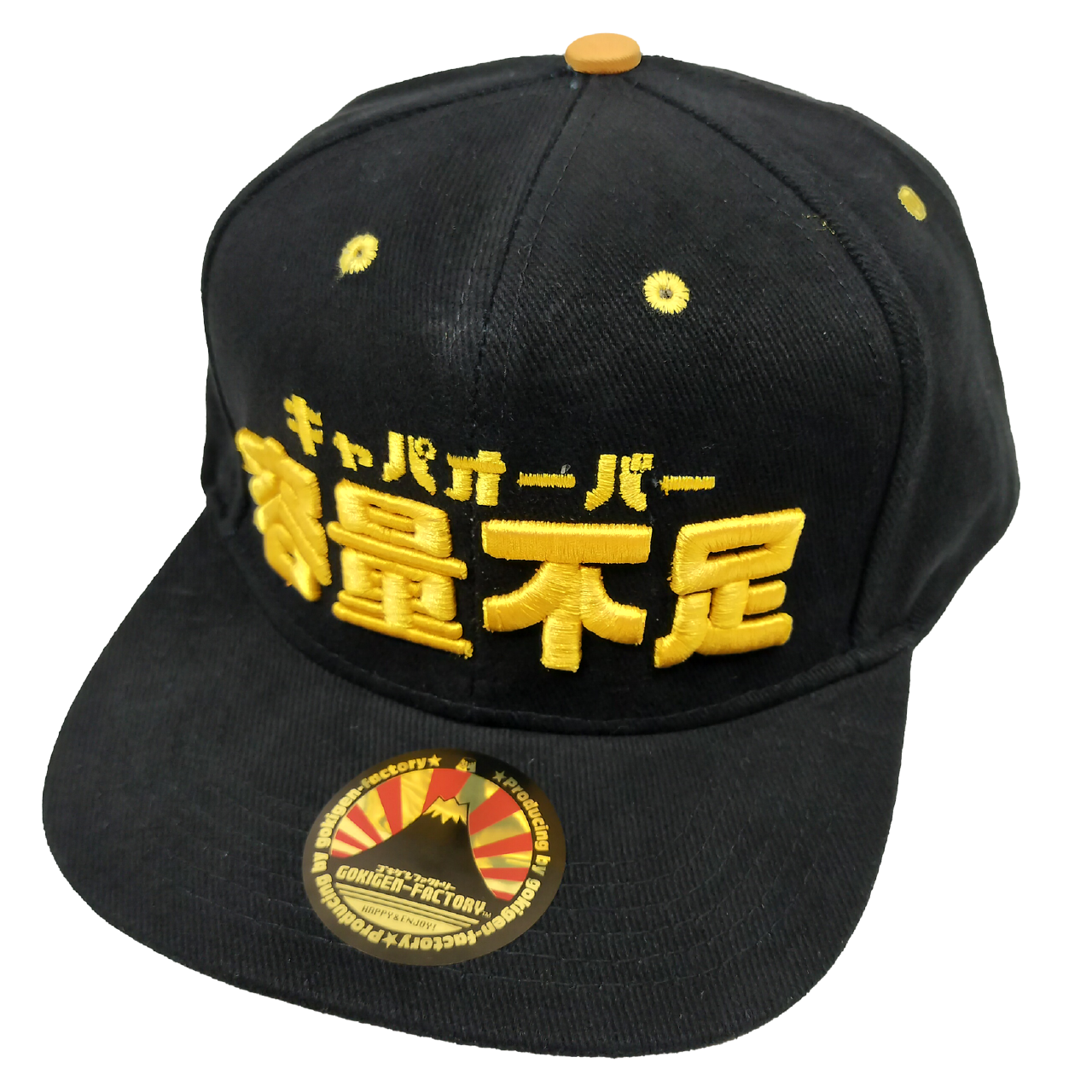 c219】レア！企業ロゴ ヴィンテージキャップ 日本未発売