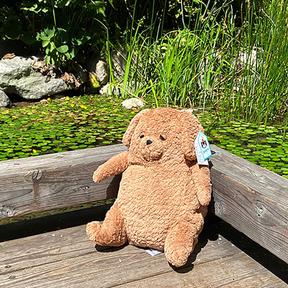 934978ff80e491389e10800cecf41d