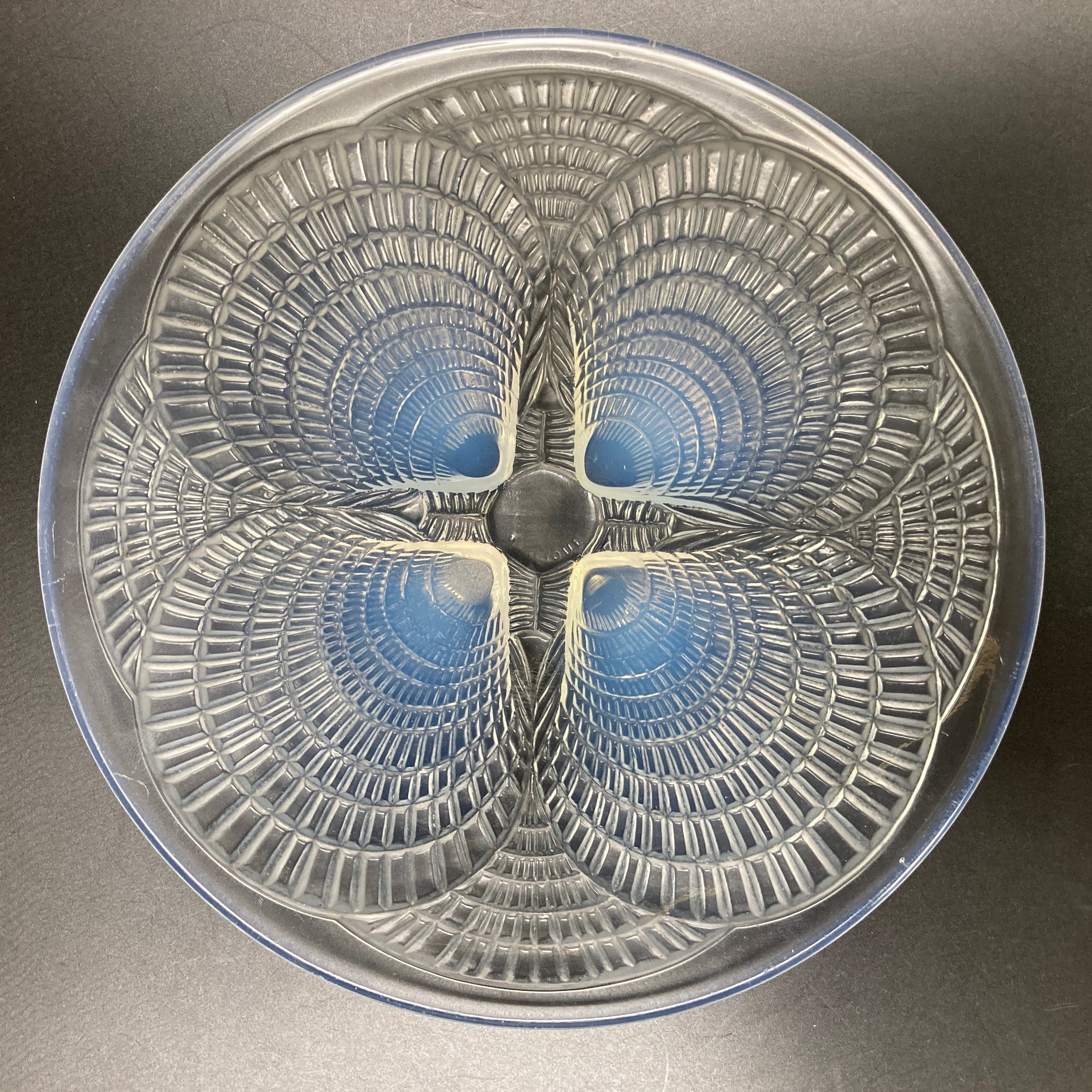 ☆ルネ・ラリック RENE LALIQUE コキーユ 大皿 オパルセント