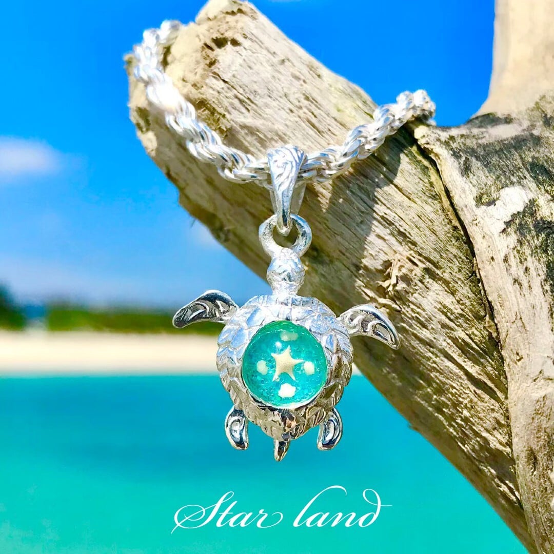 チェーン別売】☆幸せを運ぶ☆シルバーホヌ☆ | 沖縄のアクセサリー