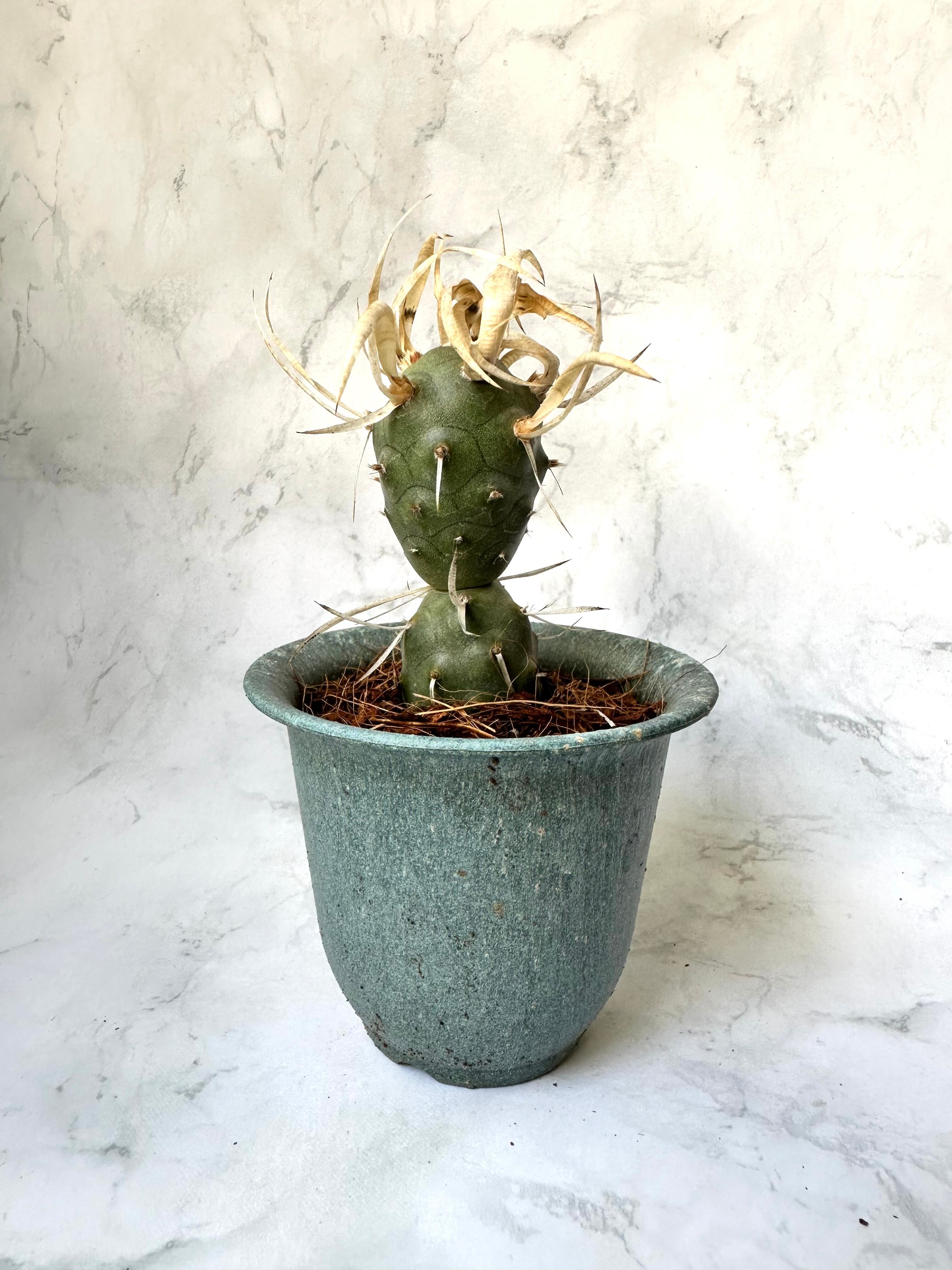 961af84e4f4a6d042dc905be1e84dd