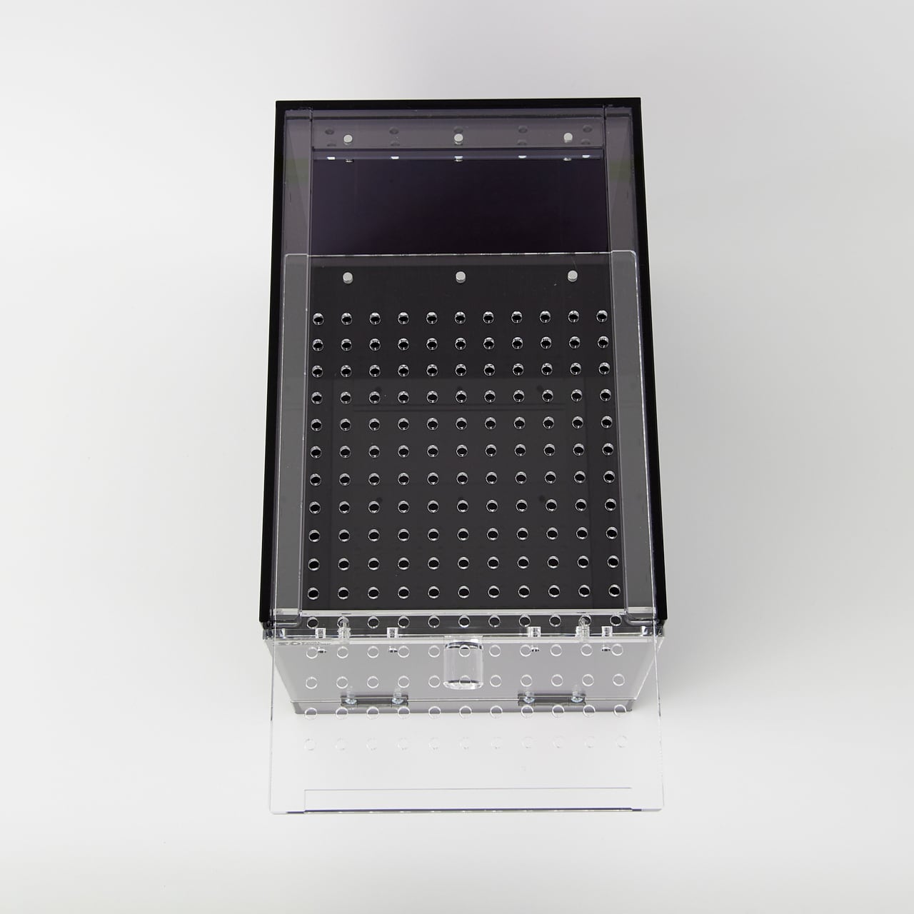 clear2-ブラックver】W200×D300×H200 Small Dinosaur スモール