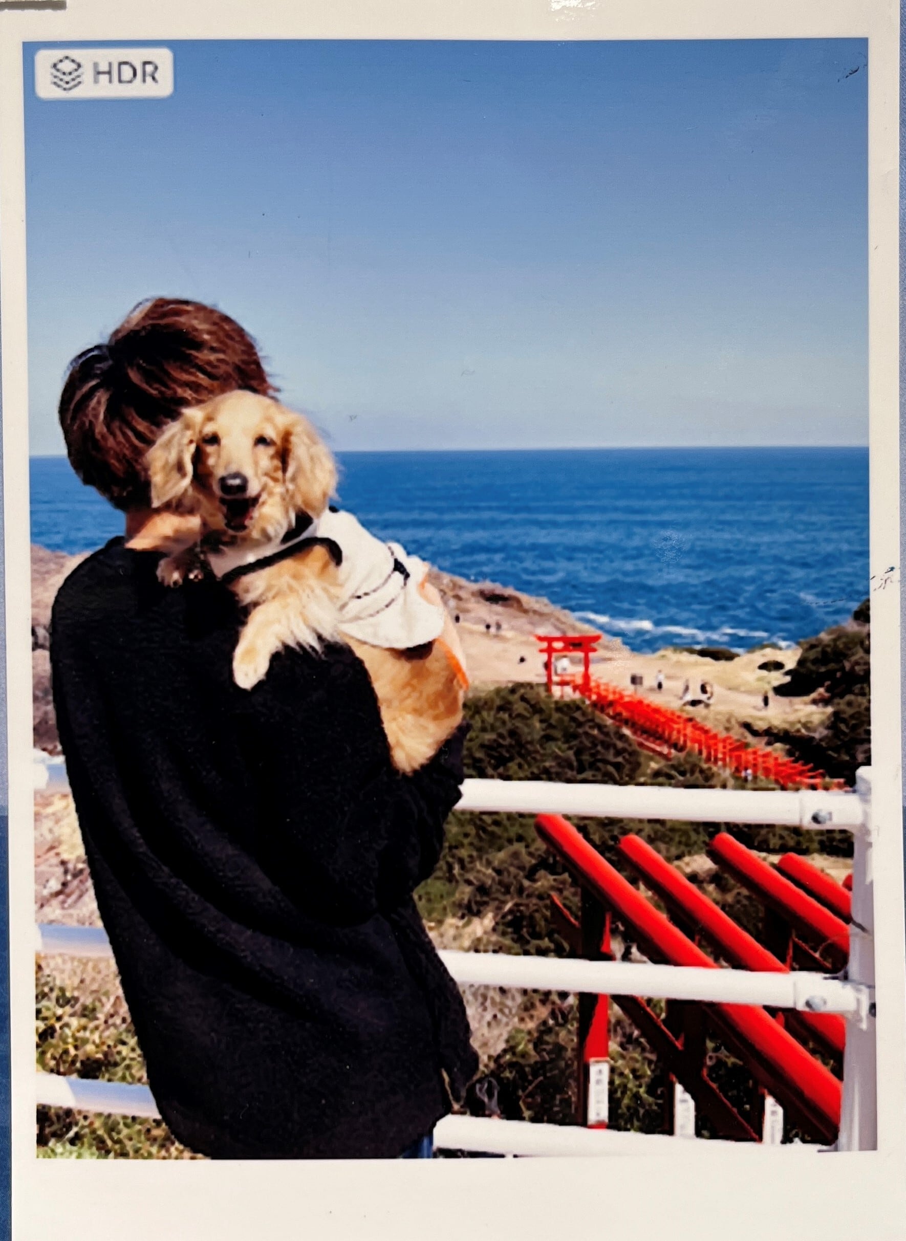 大判タペストリー（オーダーメイド商品） | and.e | ペットの写真から