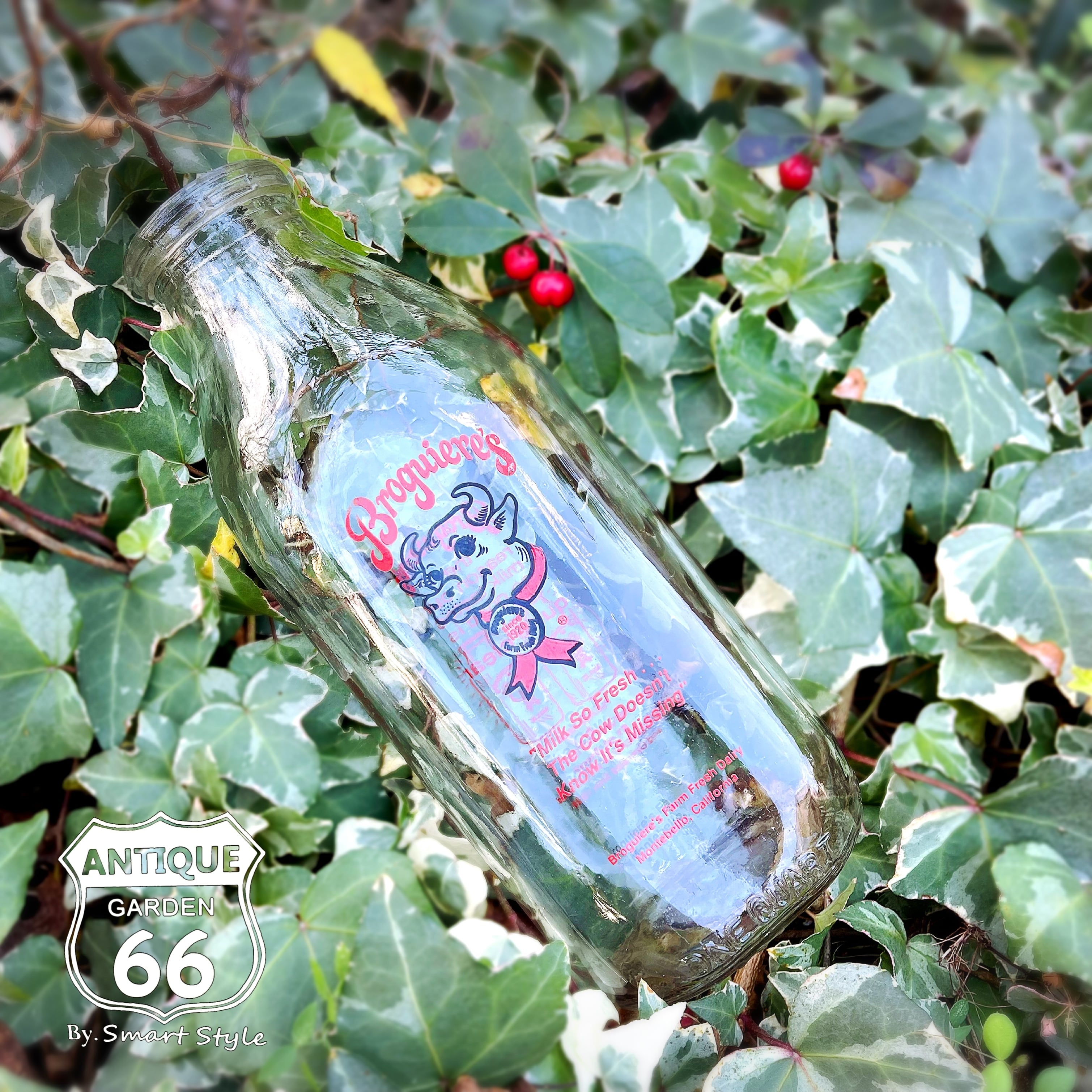 971ac8e4d29bcd24a2089bbdfdd3ec