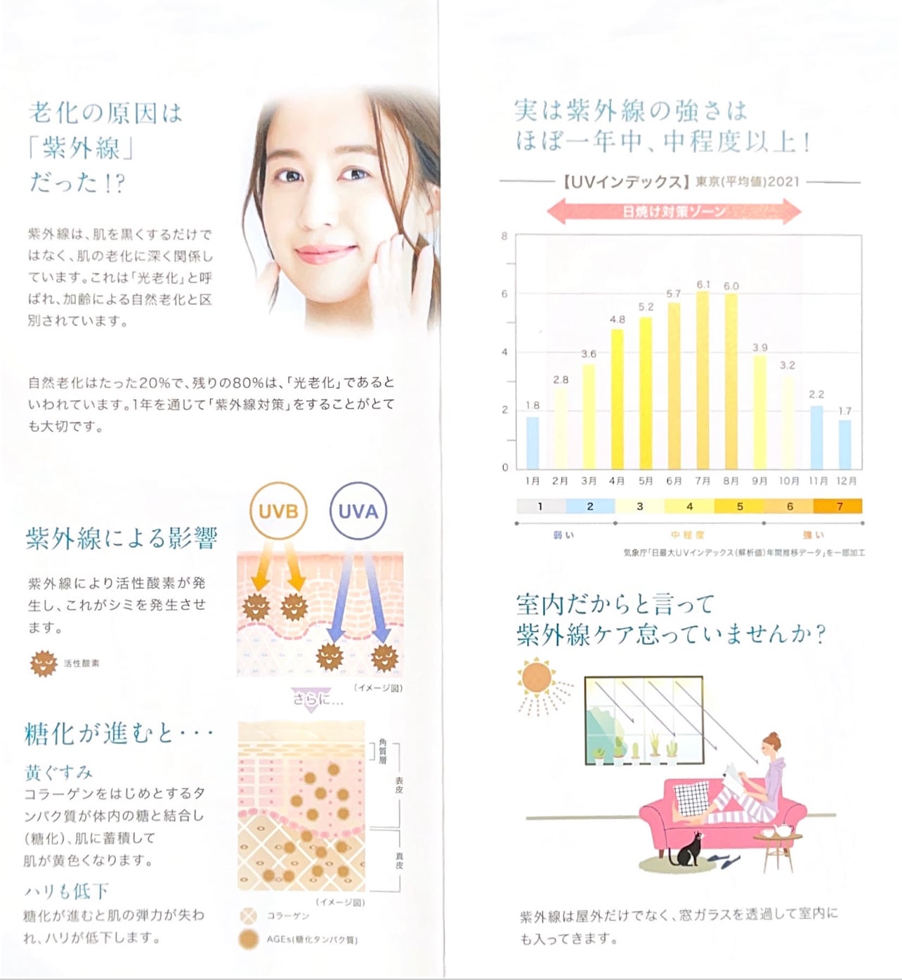 ソルプロプリュスホワイトサプリメント 〔内容量：30粒入〕 | Visante