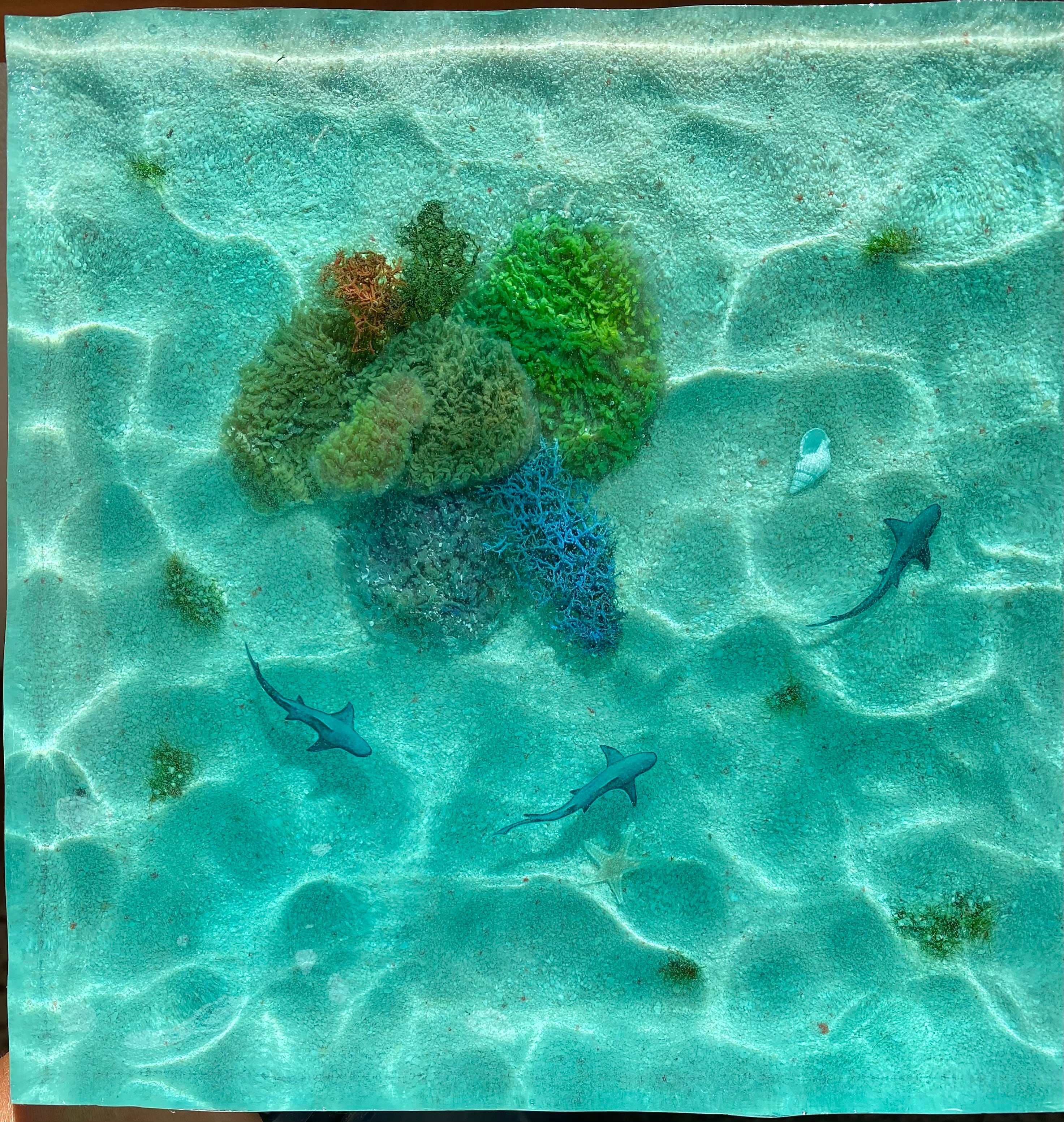 97438e86ca32a68decc042026a7980