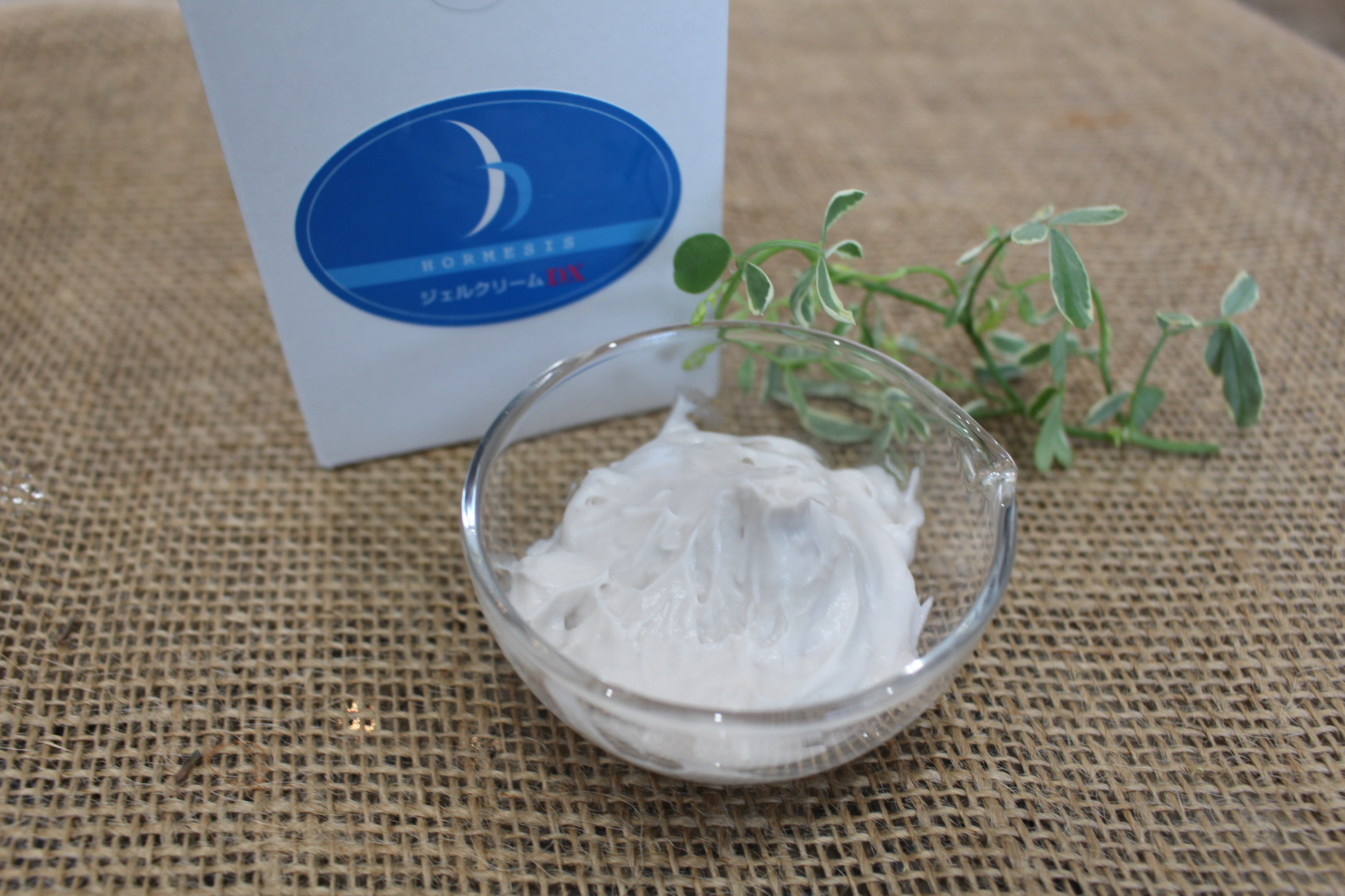 1Kg] ホルミシスジェルクリームDX | リラクゼーションサロン&スクール