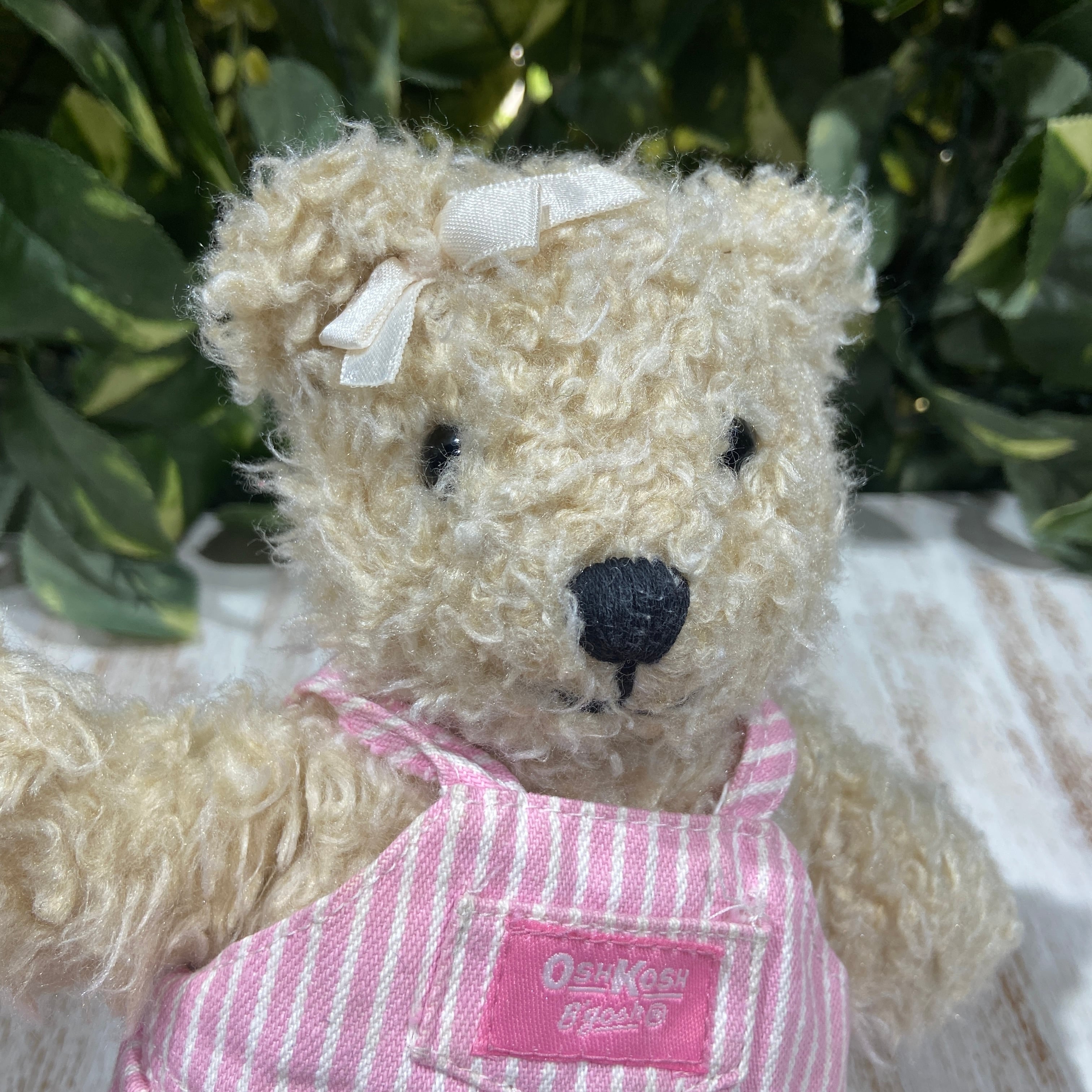 OshKosh B'gosh☆テディベアちゃん☆オシュコシュビゴシュ☆ストライプ