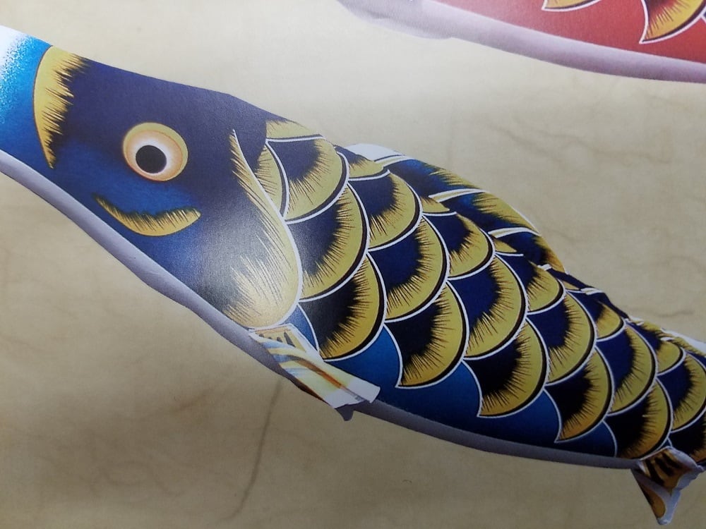 限定品 大特価】鯉のぼり 誉 2mセット | 人形の石川オンラインショップ