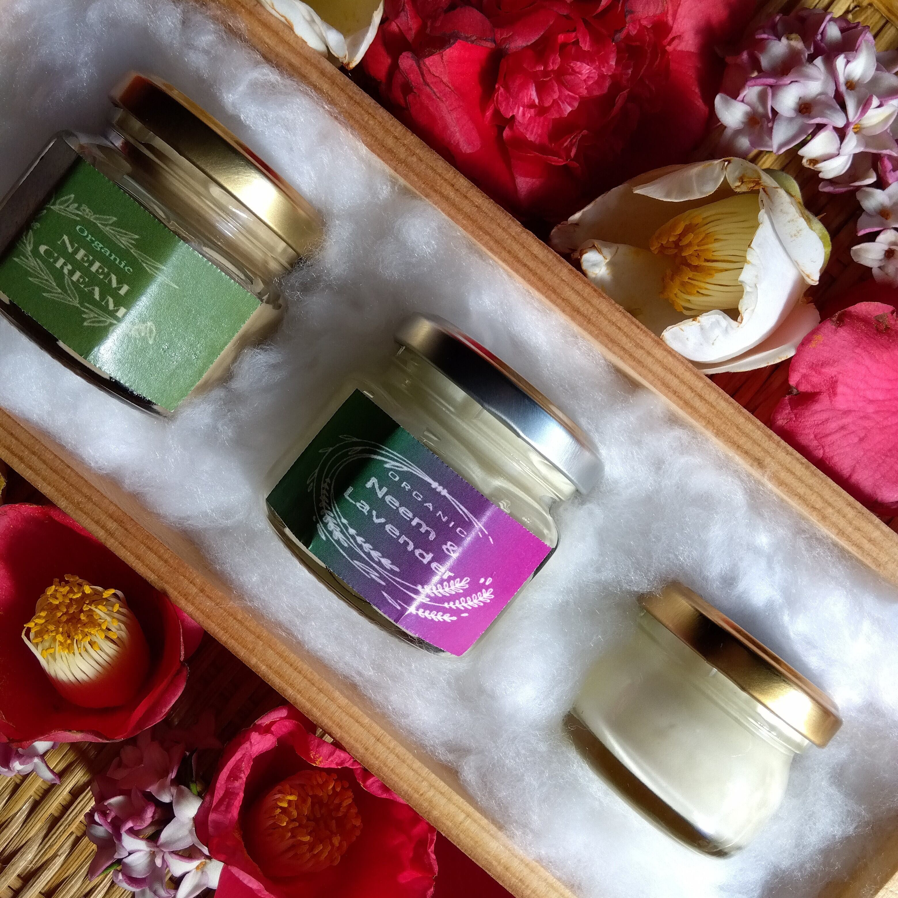 アクノケアクリーム ニキビ ニキビ跡ケア スキンクリーム 50g ✖️10箱