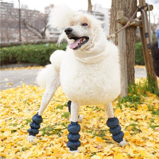 ピノエパルデ オリジナル 『フットカバー』2本セット レッド | Pino e