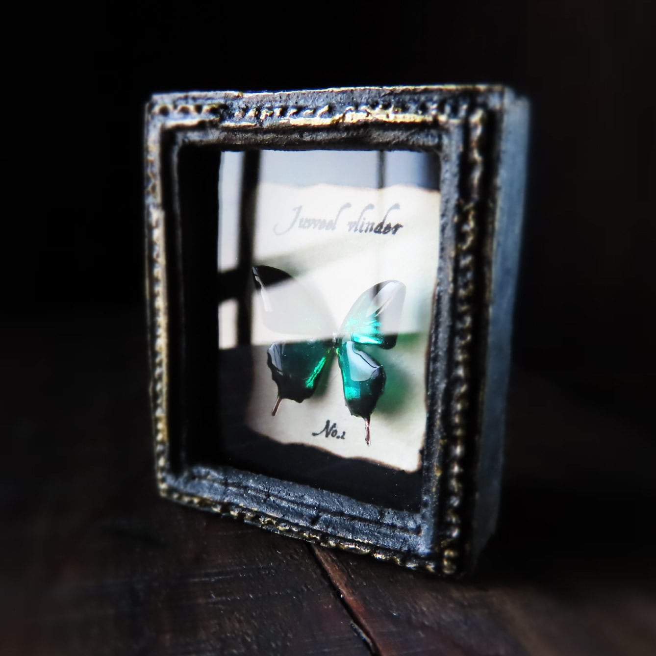 宝石蝶標本［No.1］ | ﾋﾞｬｸﾑ ｾｲｻｸｼｮ