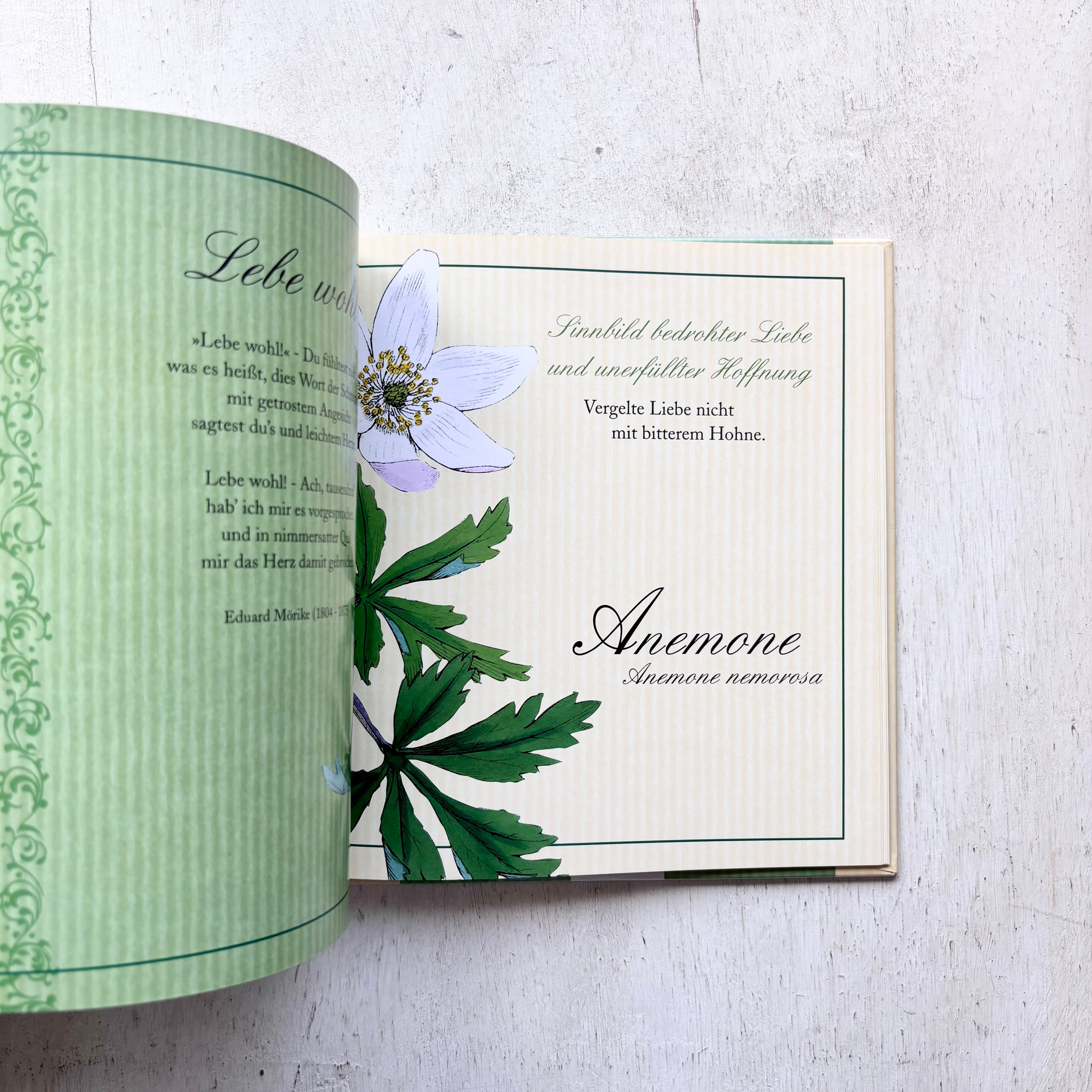 ドイツ 花言葉の図鑑 Es deuten die Blumen manch heimliches Wort