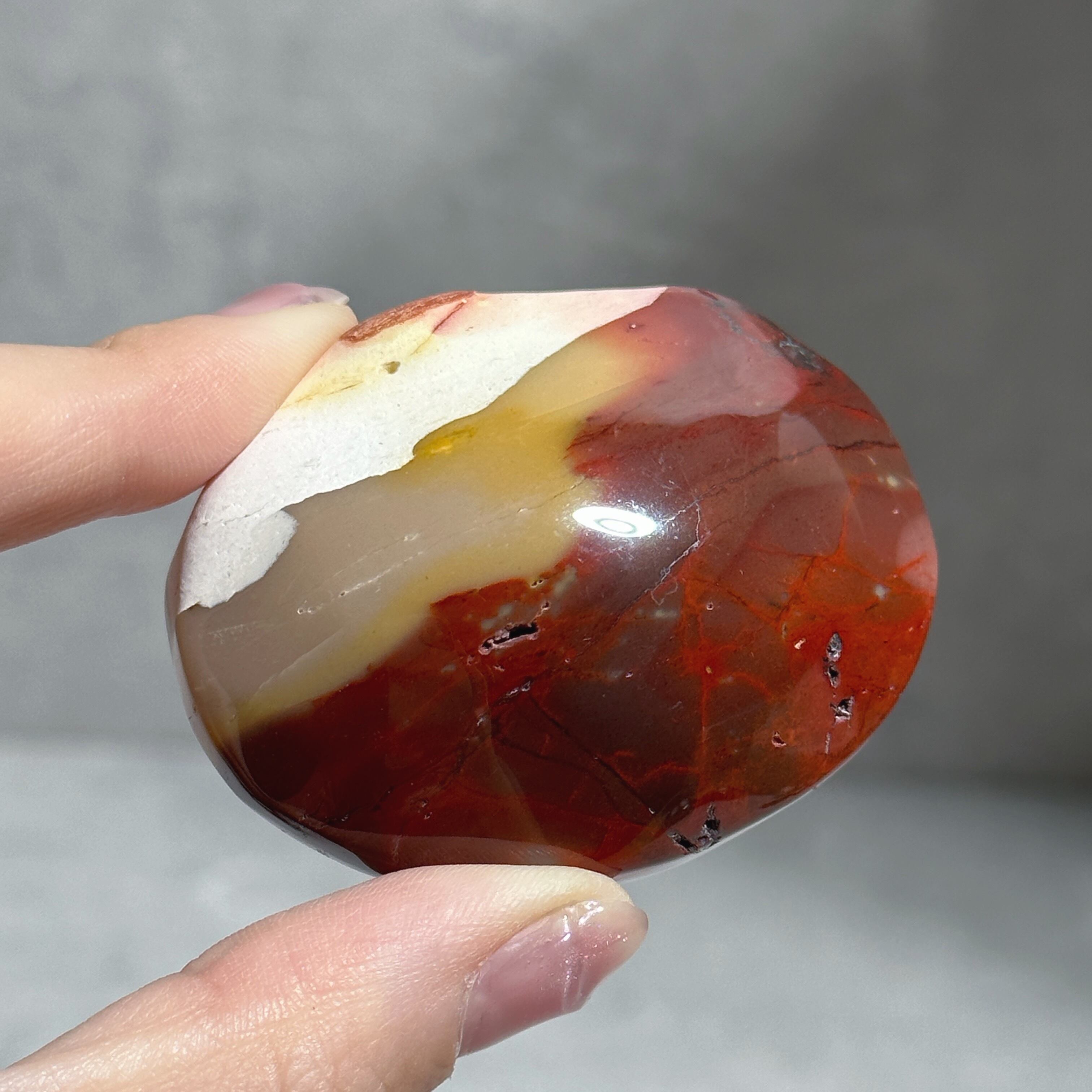 99f6d909d4423d429d5f376ae95ffc