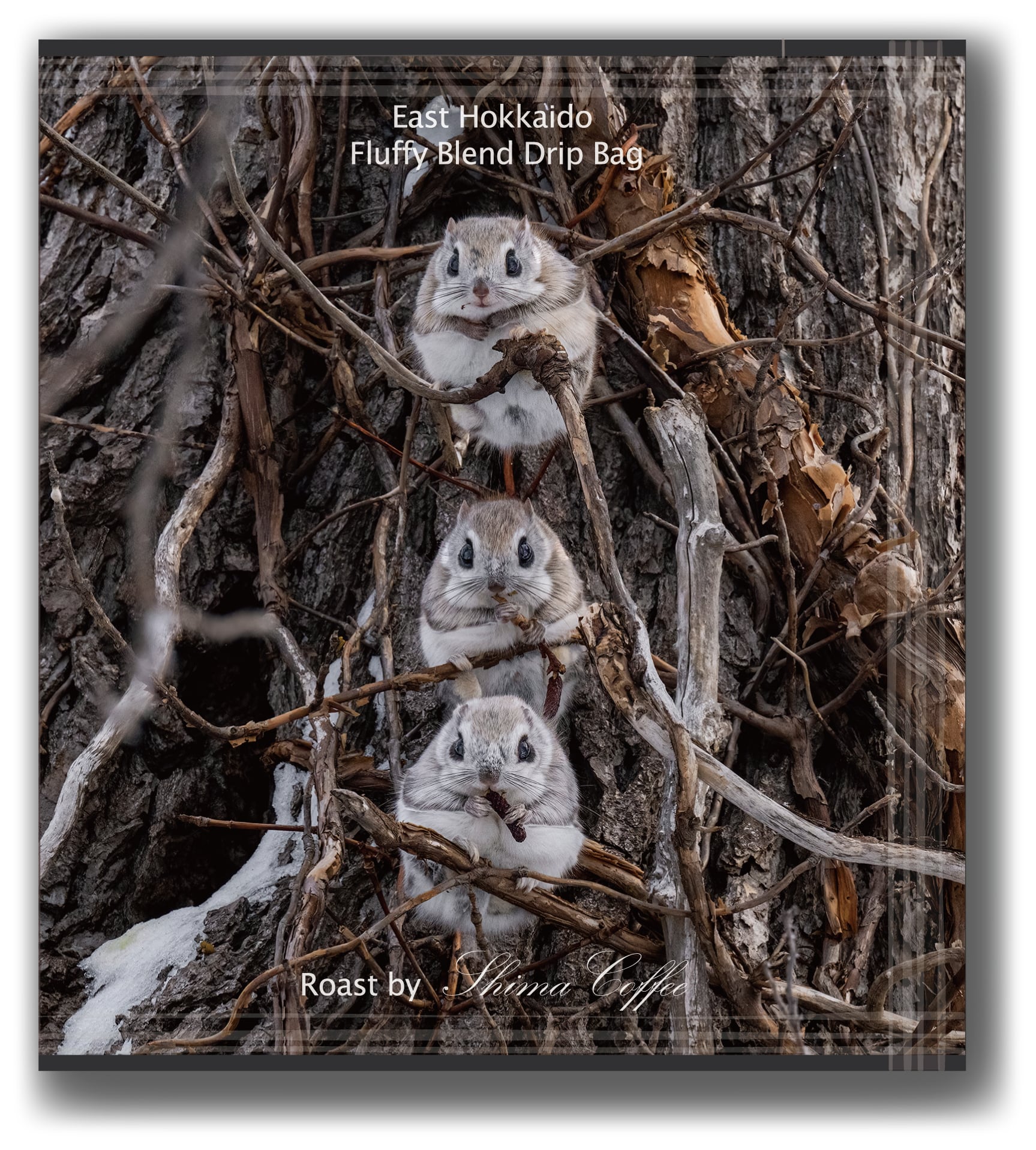 9cda508a28519d97f5c09205a032aa