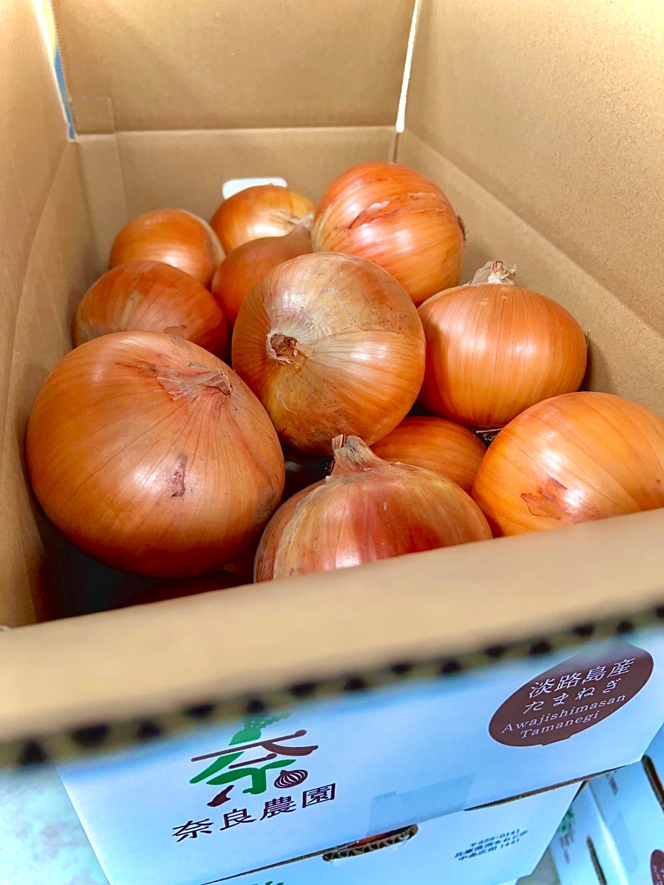 最上級品】淡路島玉ねぎ（中生ターザン）3kg サイズ色々 | 奈良農園