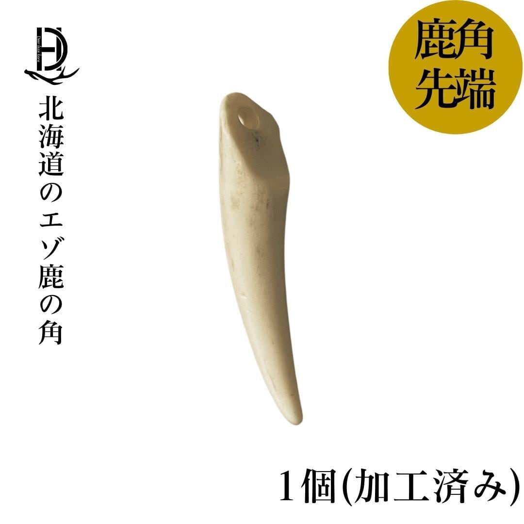 鹿の角 先端 1個セット クラフト材料 ハンドメイド 工作 | REAN select