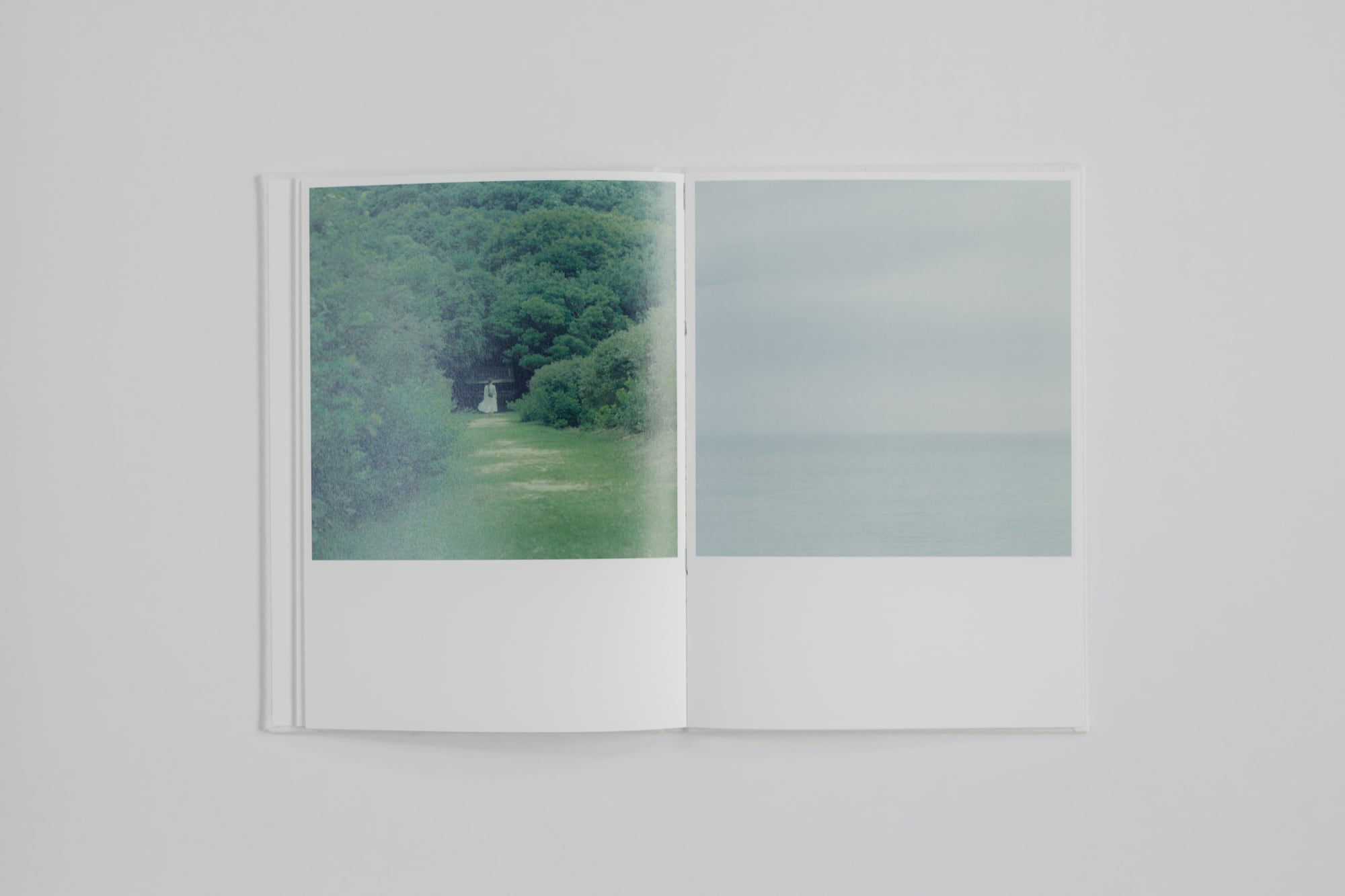 御茶屋跡オリジナル | 白い本 