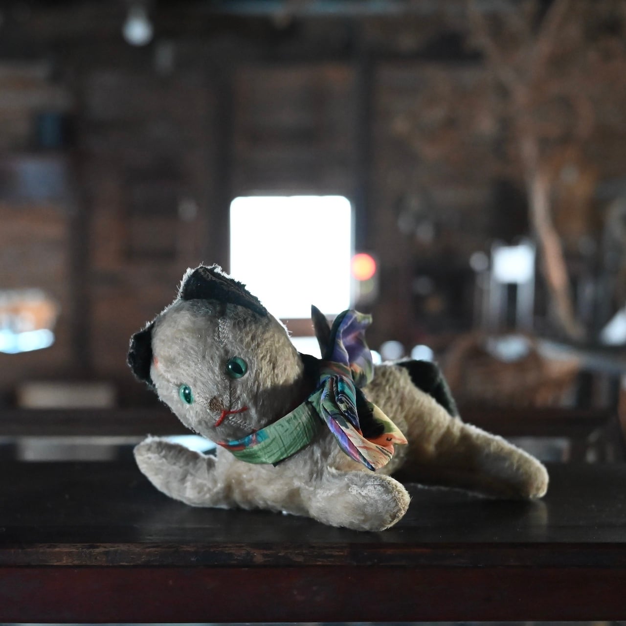 Stuffed Toy / ぬいぐるみ〈 猫・オブジェ・ディスプレイ