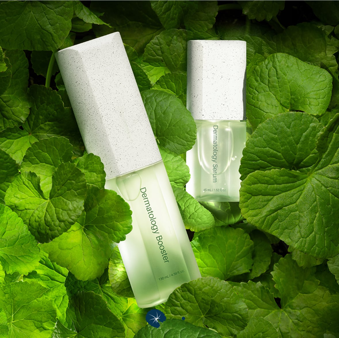 予約】 ICD インセルダム ダーマトロジー ファスト パッケージ