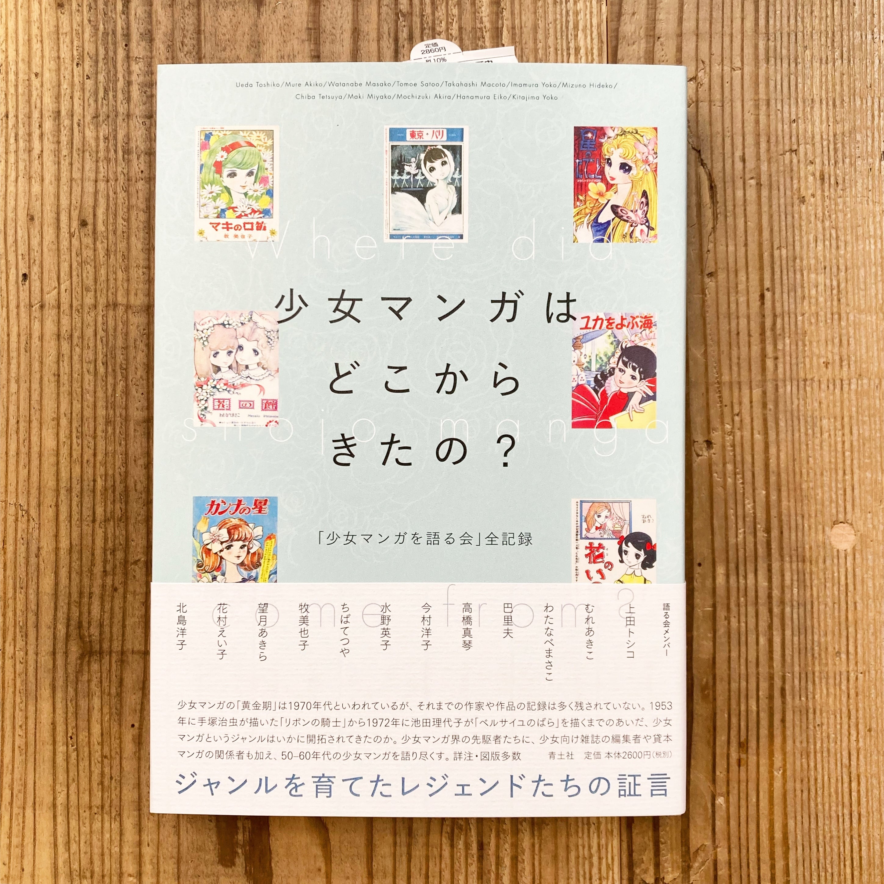 永遠の少女マンガぬりえ 池田理代子 2冊 帯付き 永遠の少女マンガぬりえ