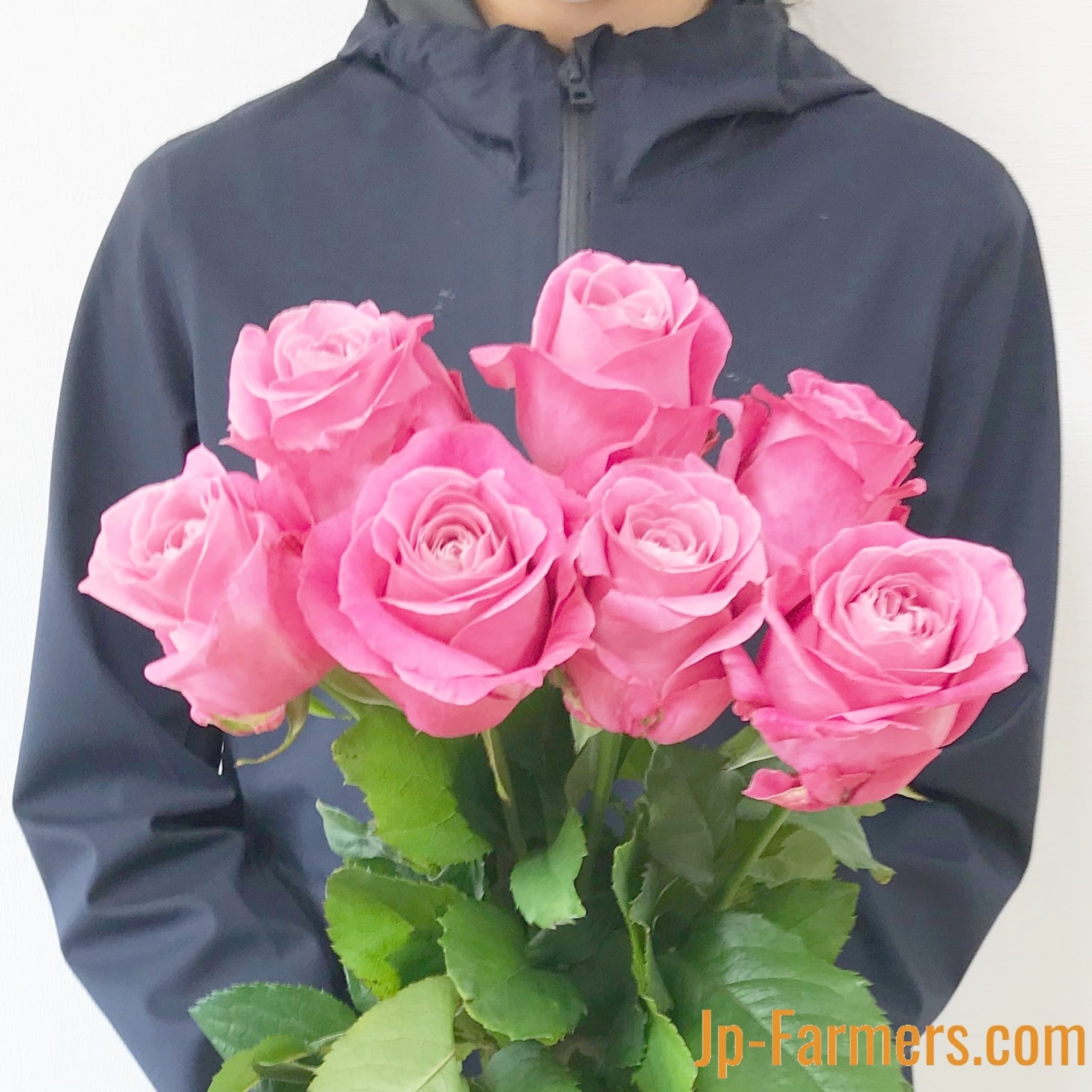 PP-「P」 4枚セット バラ売り可 概要欄 PP-「P」 4枚セット バラ売り可