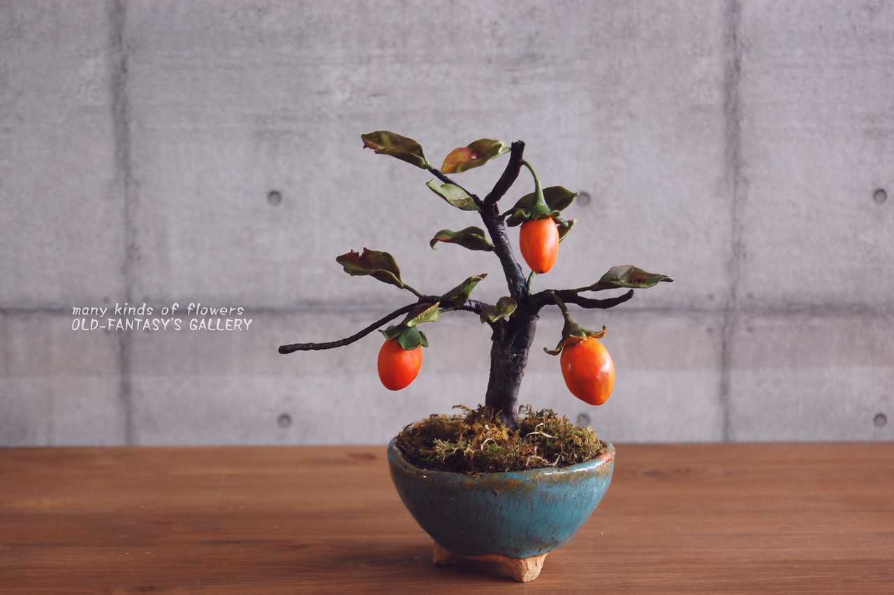 9d1baec41a3ce1828a3b2dcb482a76