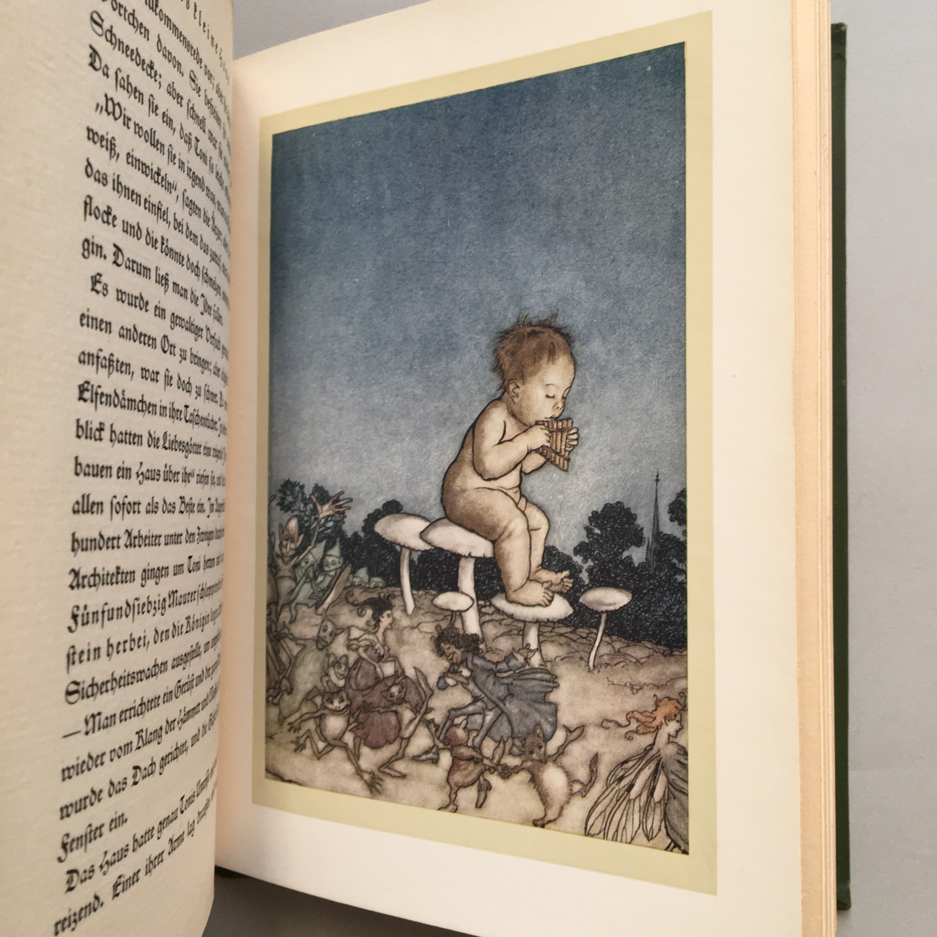 森林公園のピーター・パン（ドイツ語初版、ラッカム挿絵） | 髙橋麻帆書店