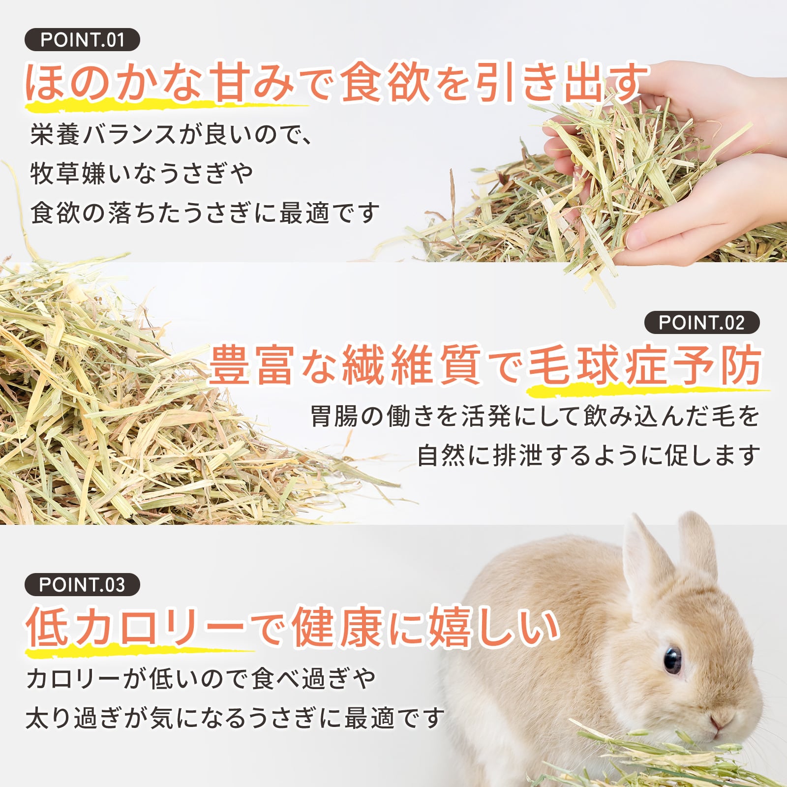 牧草王国 オーストラリア産特選 オーツヘイ お試しパック50g | うさぎ
