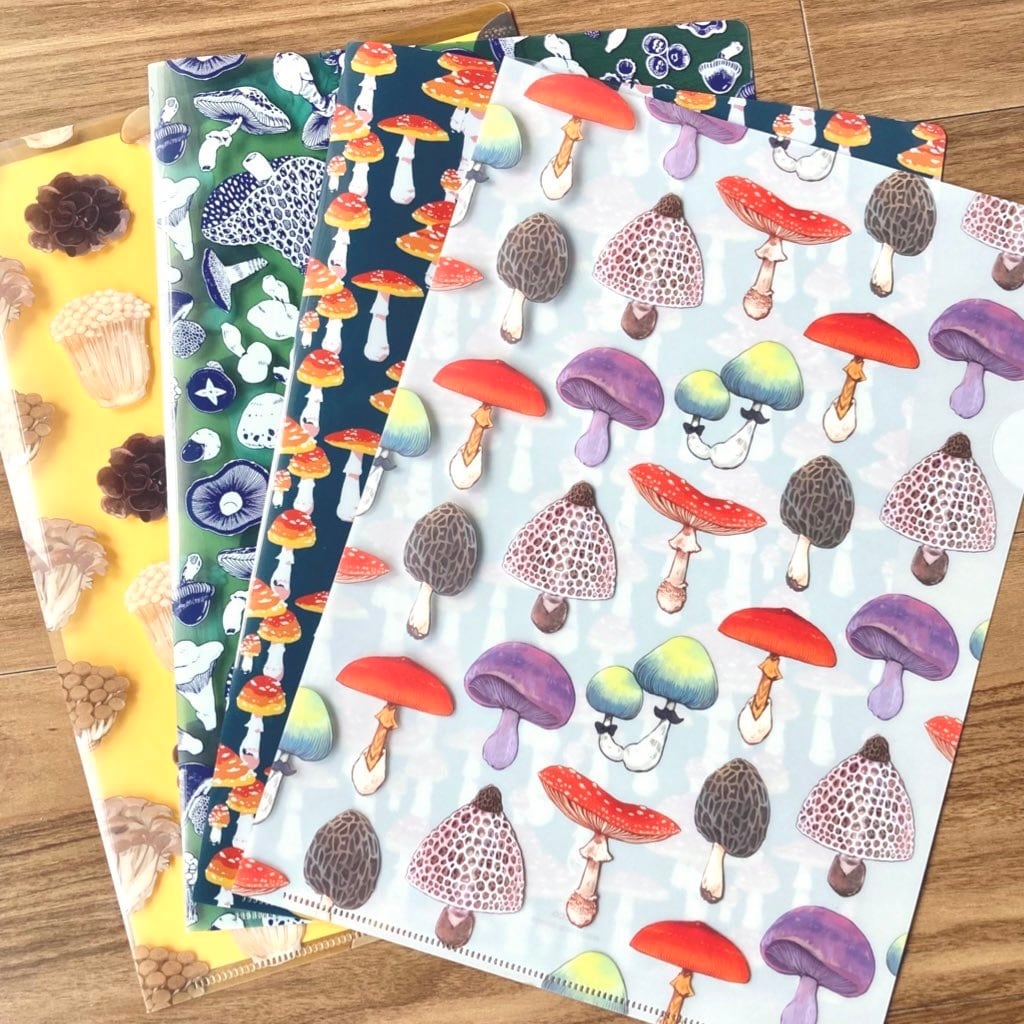 9e3eb904879dcdcfb11a66b6352d2c