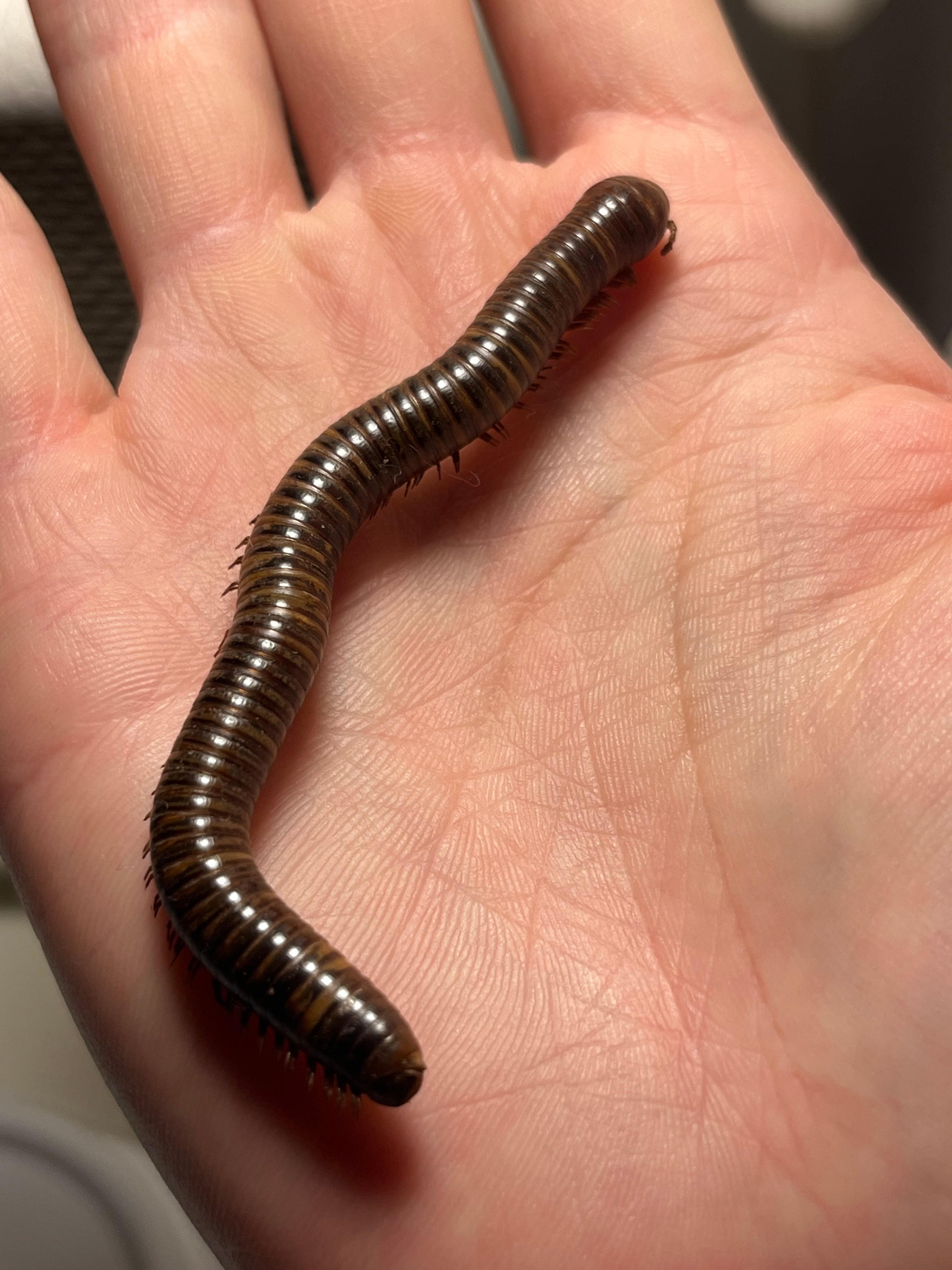 9ee109c6236024a08b468577152828