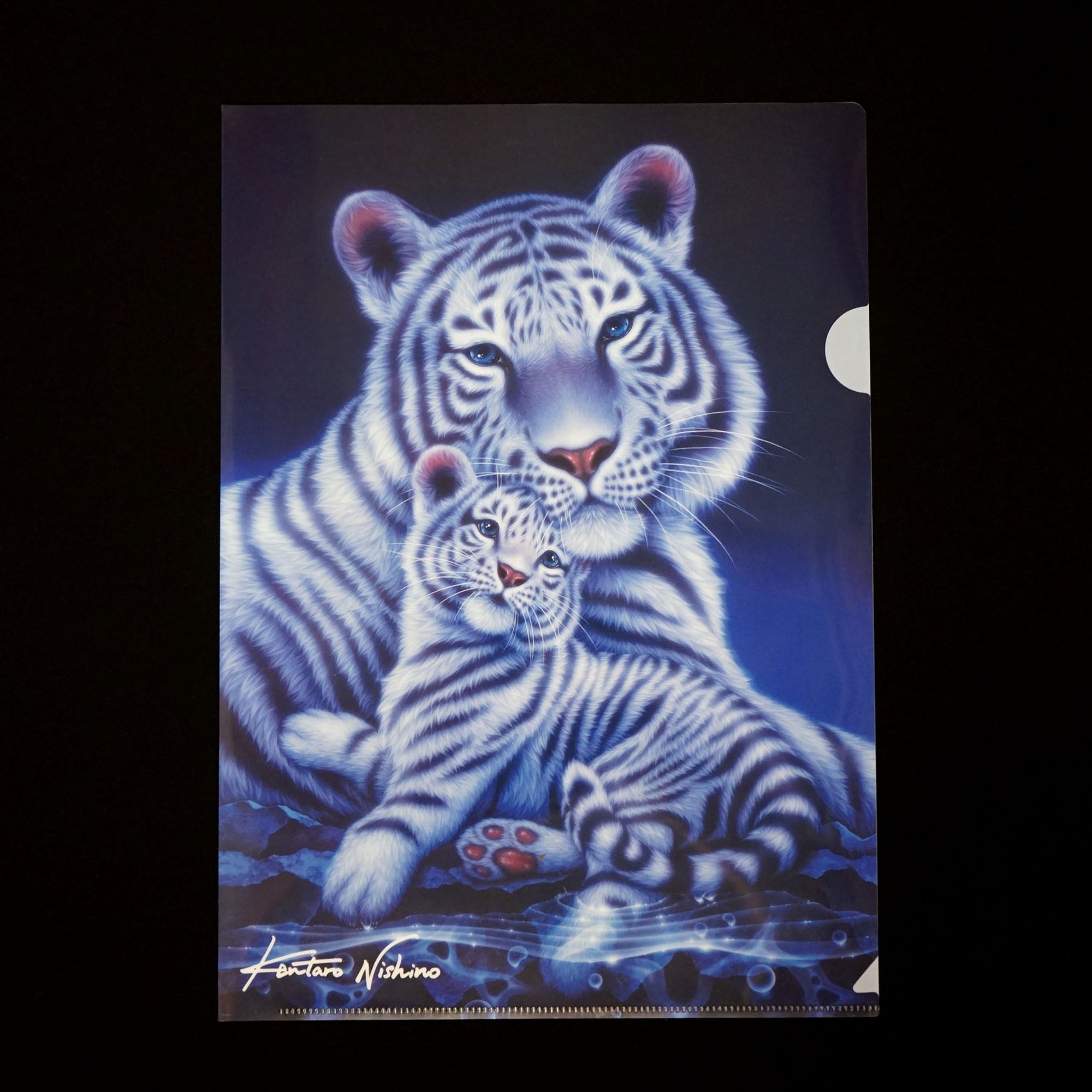 クリアファイル「ホワイトタイガー3」 | 西野健太郎アートショップ