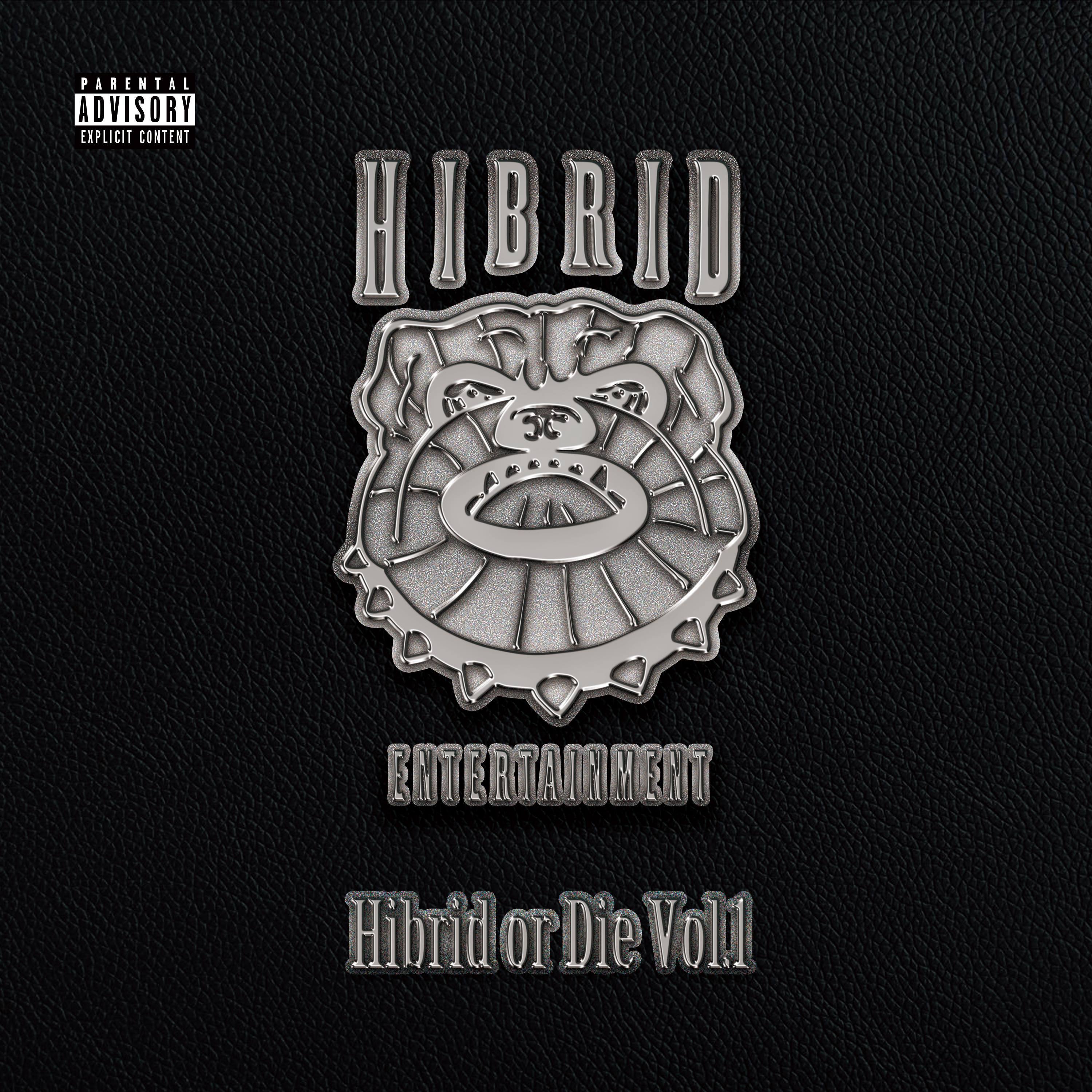 HIBRID OR DIE Vol.1 | HAZE WAVE FILMS