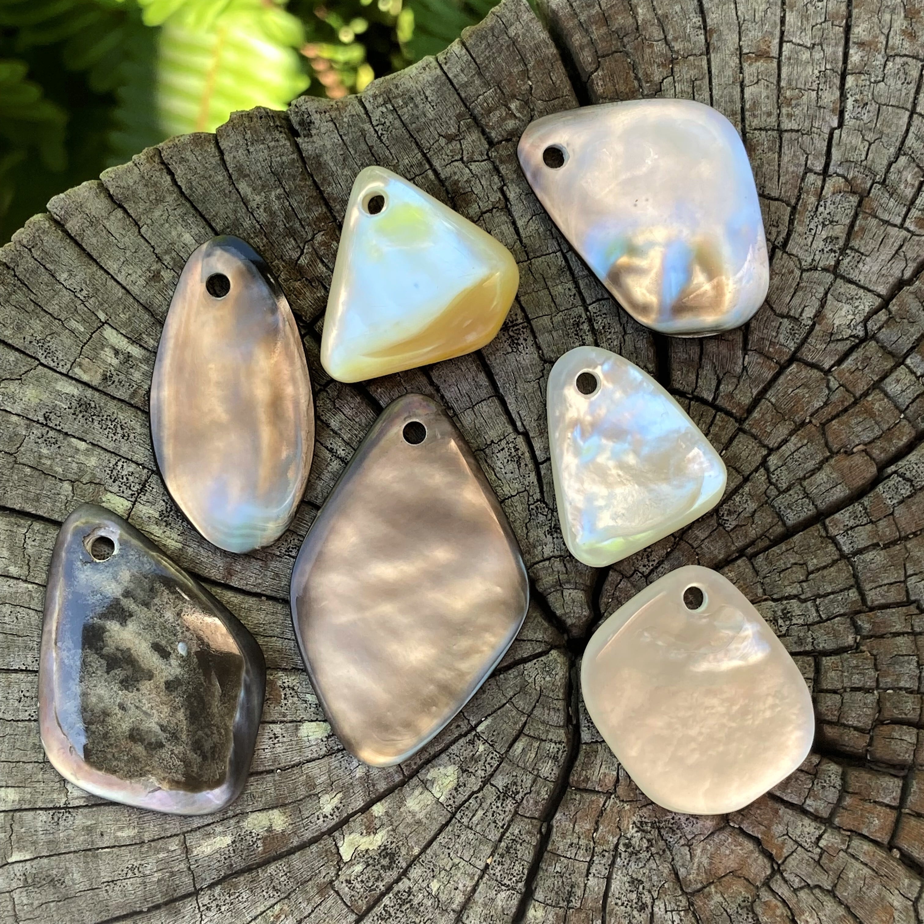 白蝶貝&黒蝶貝】磨きセット [KIT:0062] | Hyo-tan